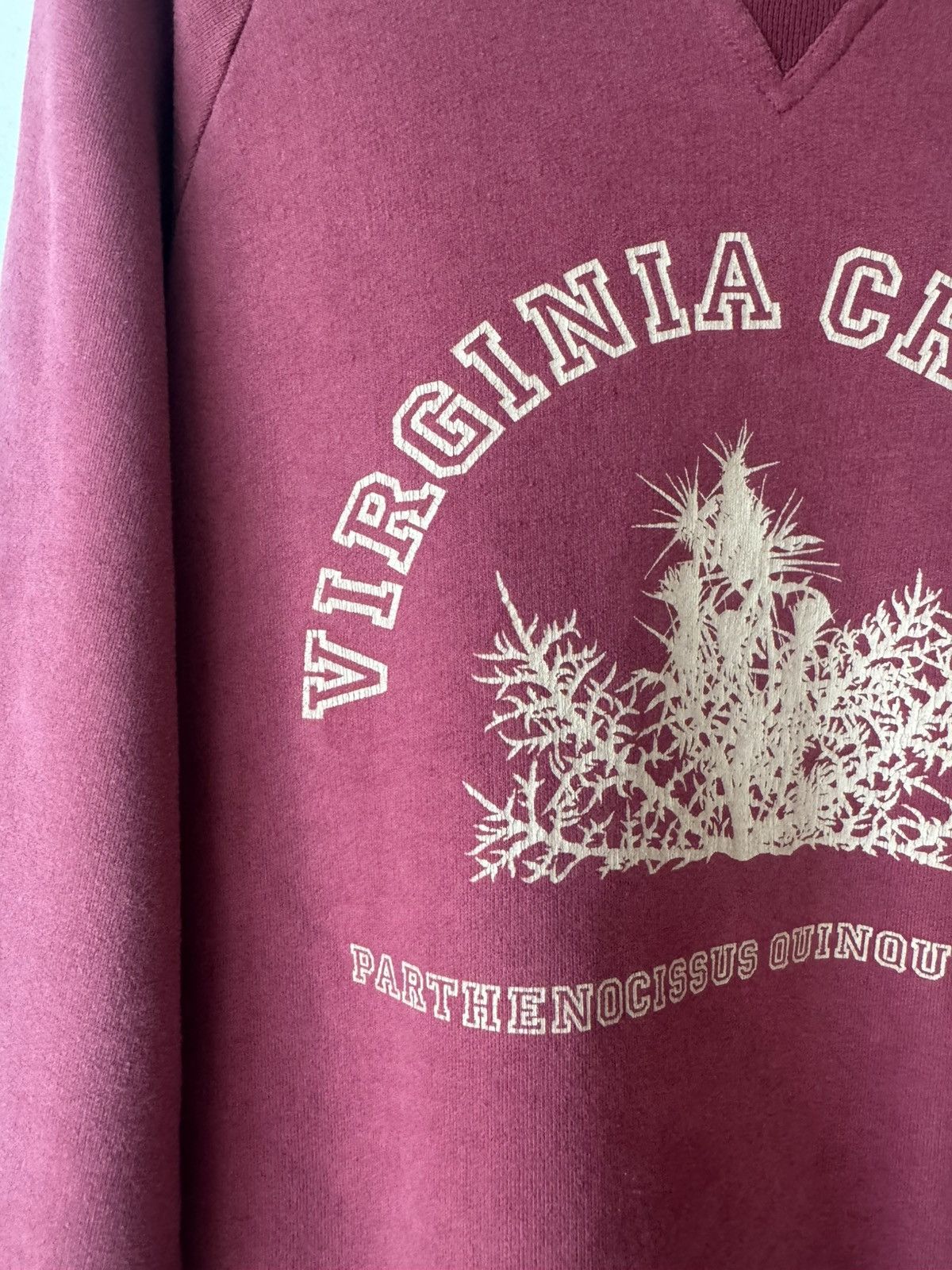 Raf Simons Raf Simons A/W ‘02 “Virginia Creeper” Sweatshirt Size US S / EU 44-46 / 1 - 5 Thumbnail