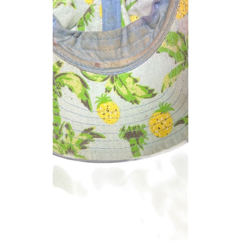 Pineapple Connection Baby Blue Vintage Pineapple Embroidered Cap Size ONE SIZE - 5 Thumbnail