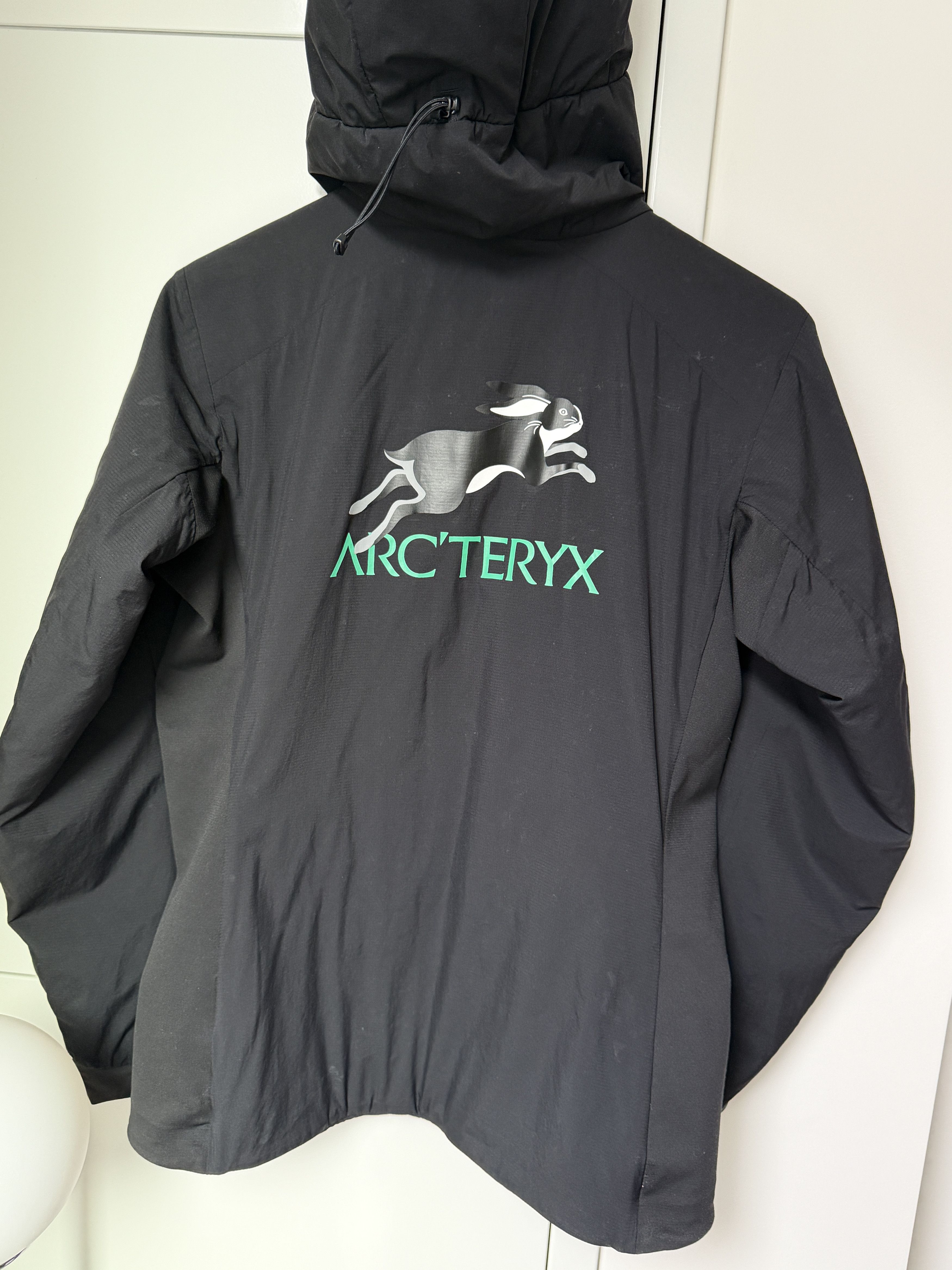 Arc'teryx Year of the Rabbit Atom Hoody Size S / US 4 / IT 40 - 2 Thumbnail