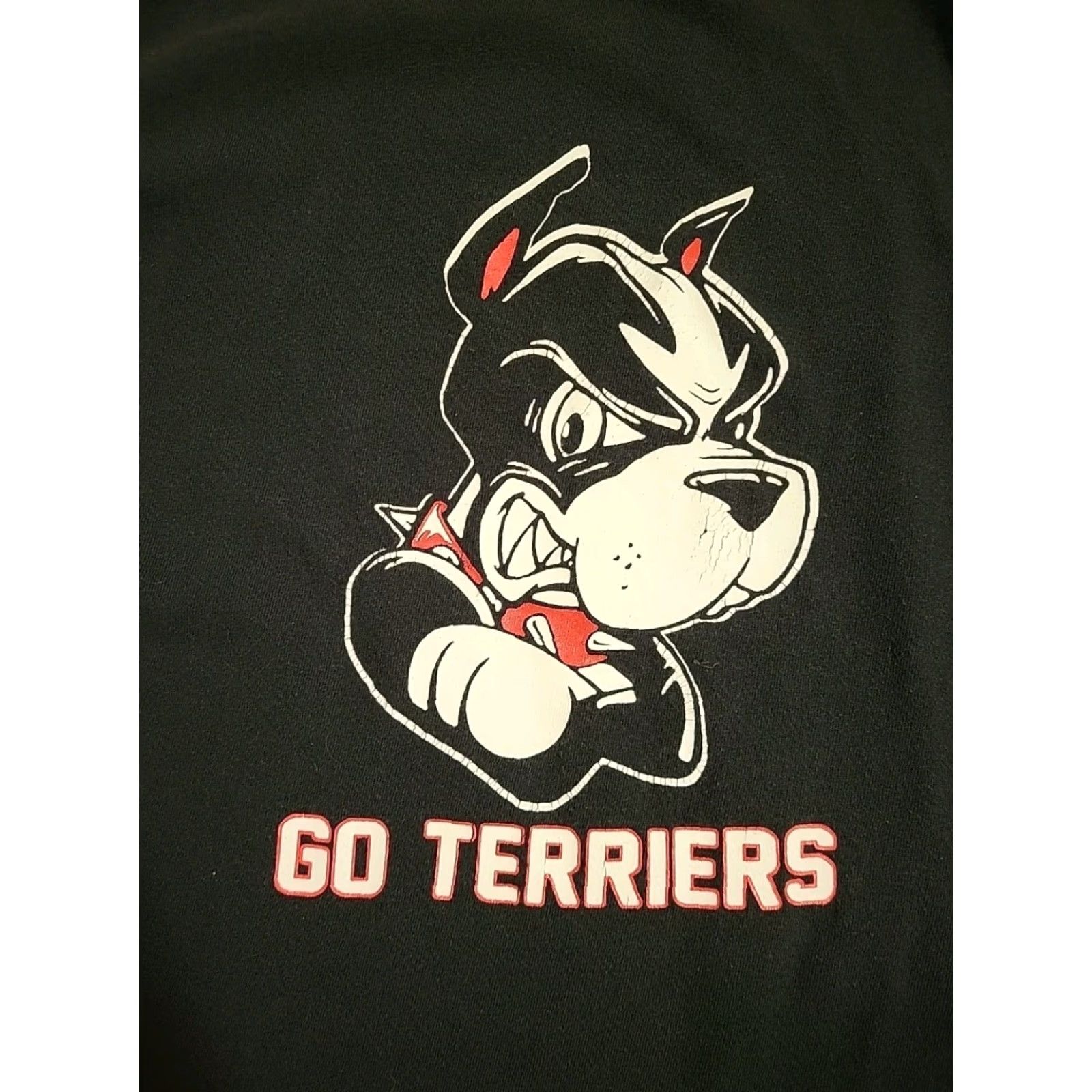 Anvil VINTAGE Anvil Shirt Unisex L Black 1990s Boston University Swimming & Diving Go Terriers Graphic Tee Mens Womens Size US L / EU 52-54 / 3 - 3 Thumbnail