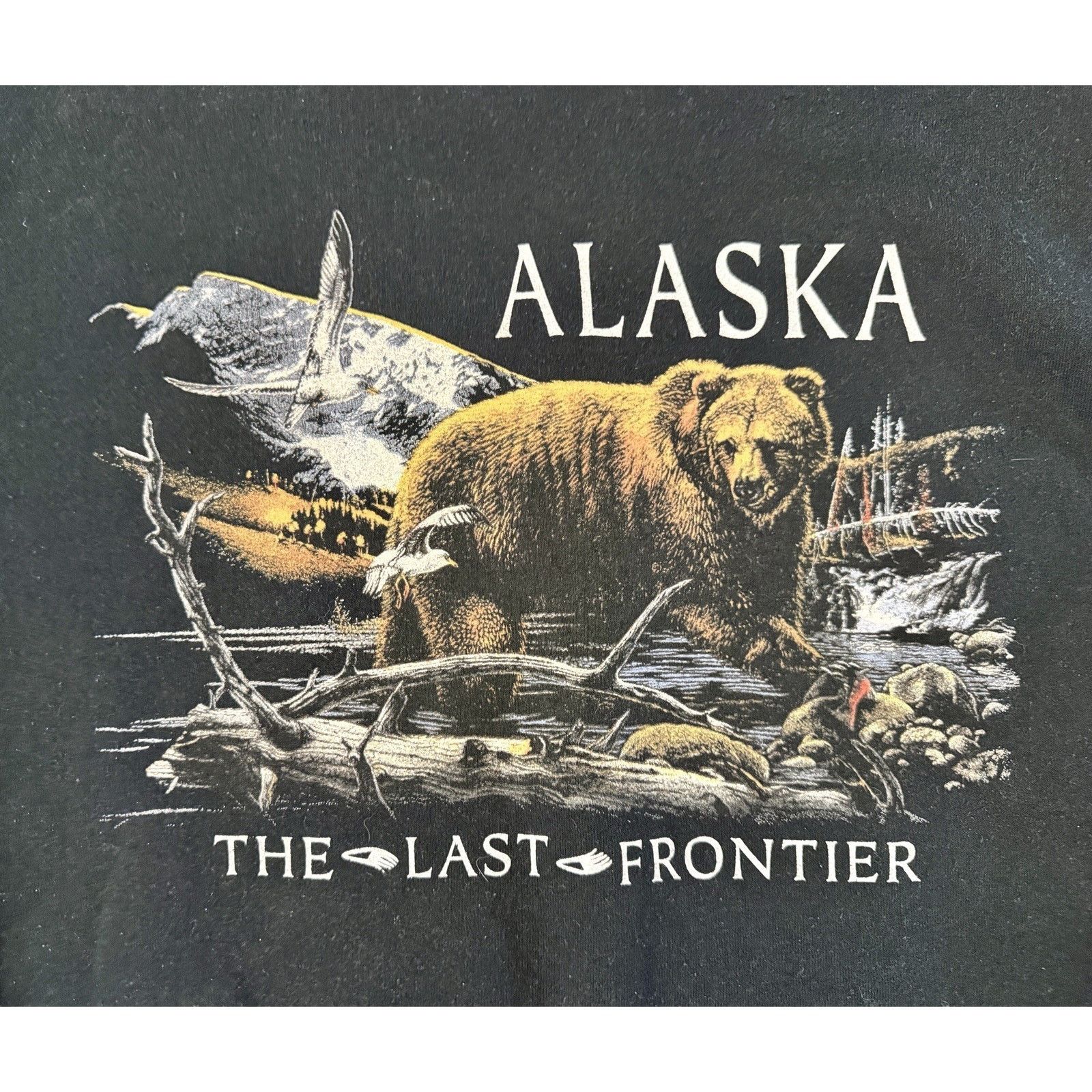 Fruit Of The Loom Vintage Alaska ‘The Last Frontier’ Sweatshirt Bear Scene Size US L / EU 52-54 / 3 - 6 Thumbnail