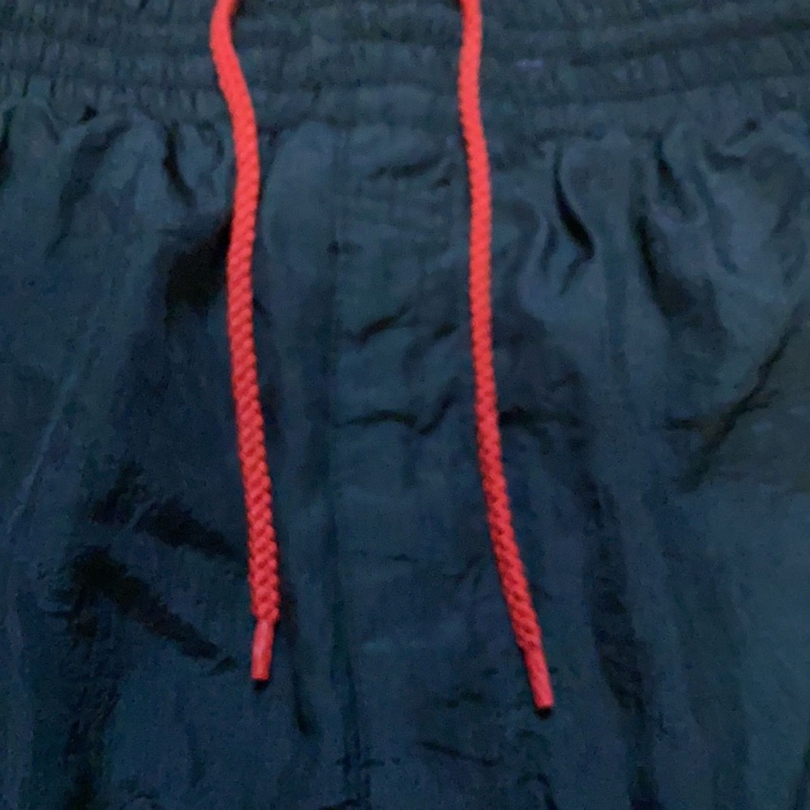 Jordan Brand 90s Air Jordan flight Nike pants Size US 28 / EU 44 - 5 Thumbnail