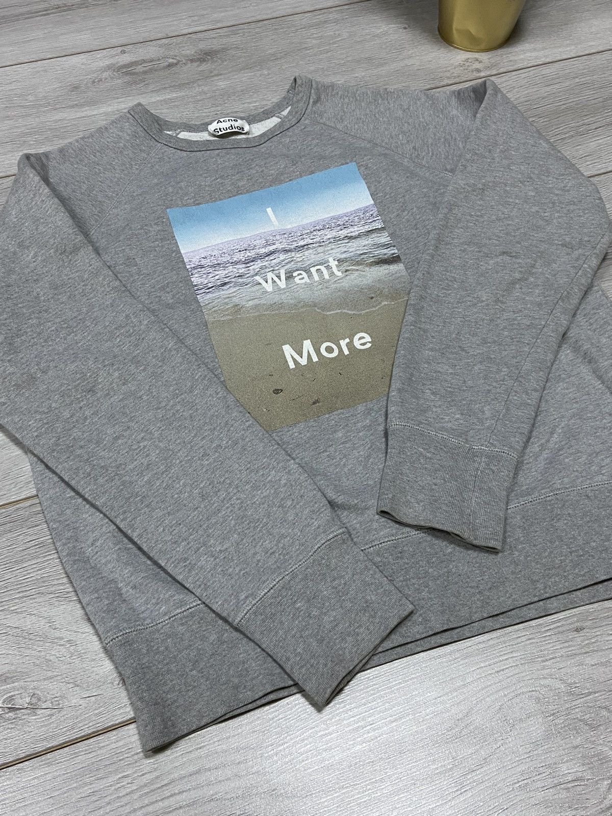 Acne Studios Acne Studios 🌊 College Photo sea FW14 I Want More Sweatshirt Size US M / EU 48-50 / 2 - 4 Thumbnail