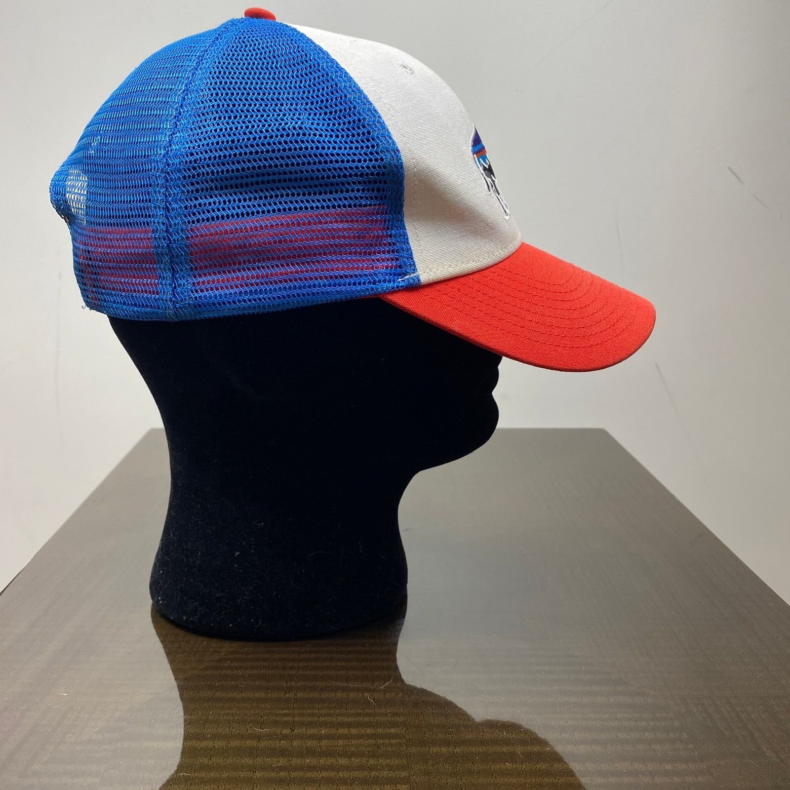 Patagonia Patagonia Fitz Roy Bison Trucker Hat Snapback Adjustable Size ONE SIZE - 4 Thumbnail