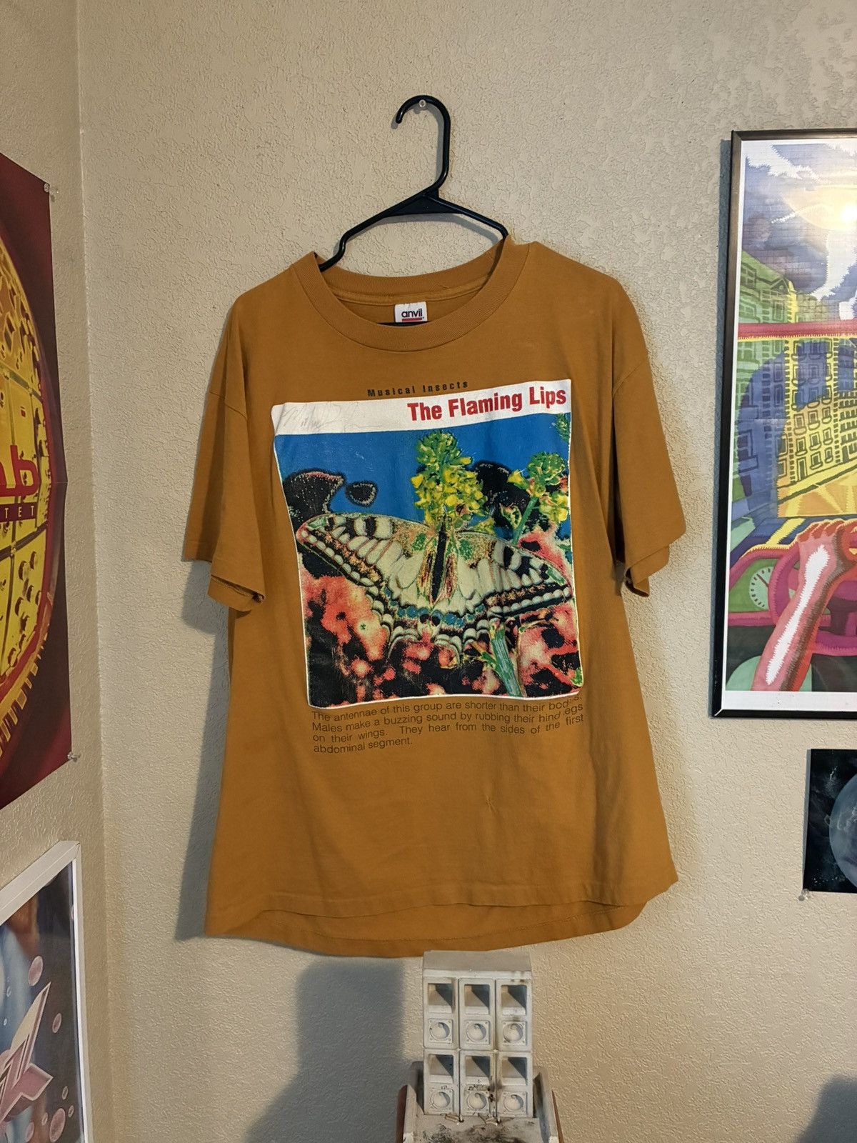 Vintage Vintage Flaming Lips T-shirt Size US XL / EU 56 / 4 - 1 Thumbnail