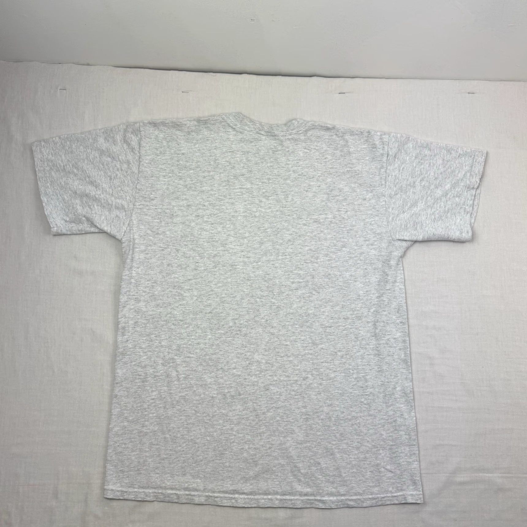 Vintage VINTAGE Alaska T-Shirt Men Adult Large Gray Nature Animals Y2K Eagle Forest 90s Concert? (remove questionable) Size US L / EU 52-54 / 3 - 8 Thumbnail