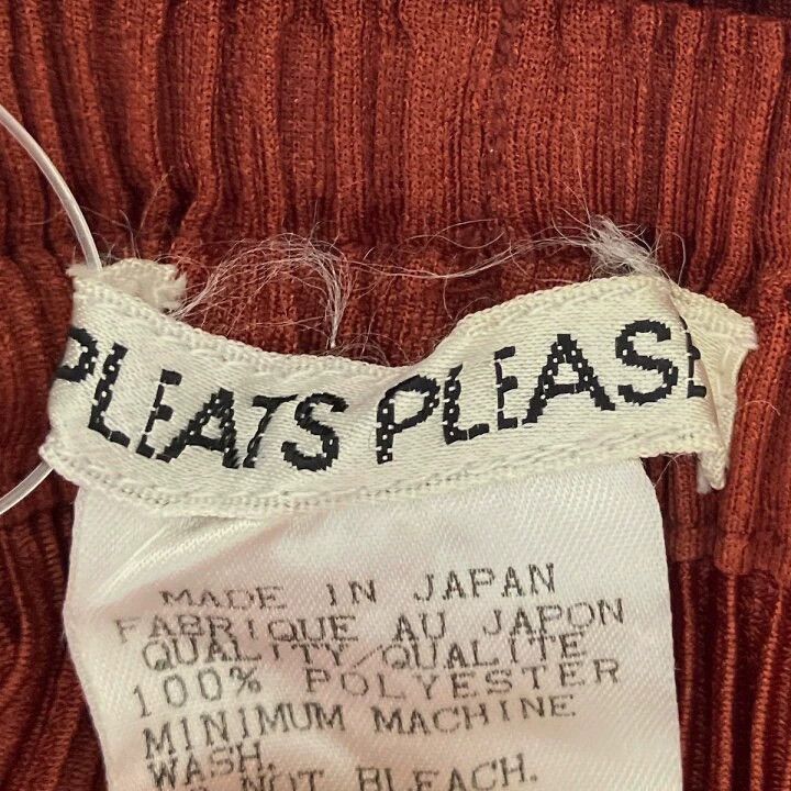 Issey Miyake Issey Miyake size:3 Reddish-brown pleated skirt Size 42" / US 20 - 6 Thumbnail