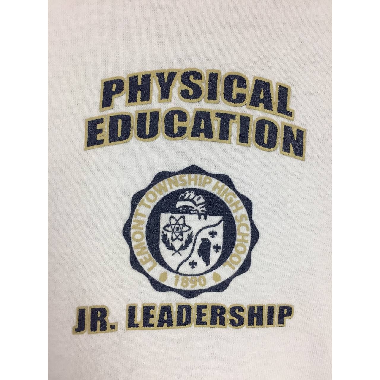 Gildan Lemont Township High School Physical Education Ringer Tee Size US S / EU 44-46 / 1 - 4 Thumbnail