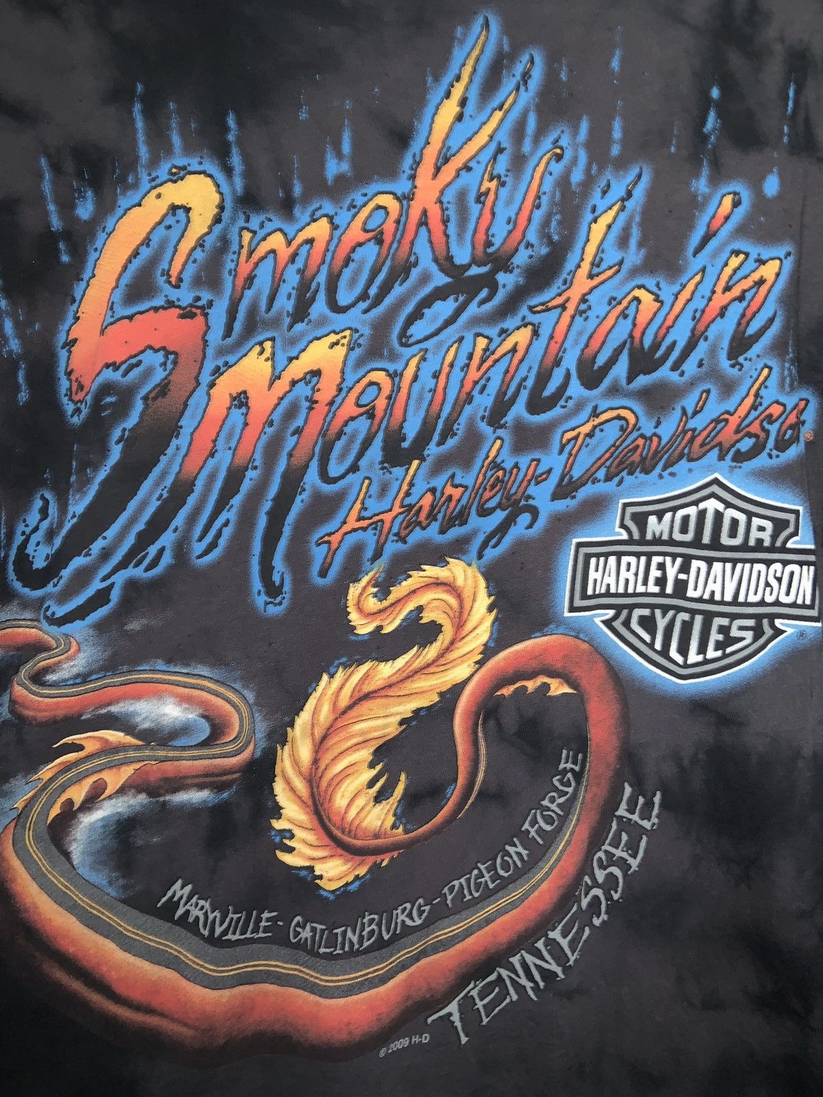 Harley Davidson Harley Davidson Smoky Mountains Dragon Tee Size XL / US 12-14 / IT 48-50 - 5 Thumbnail