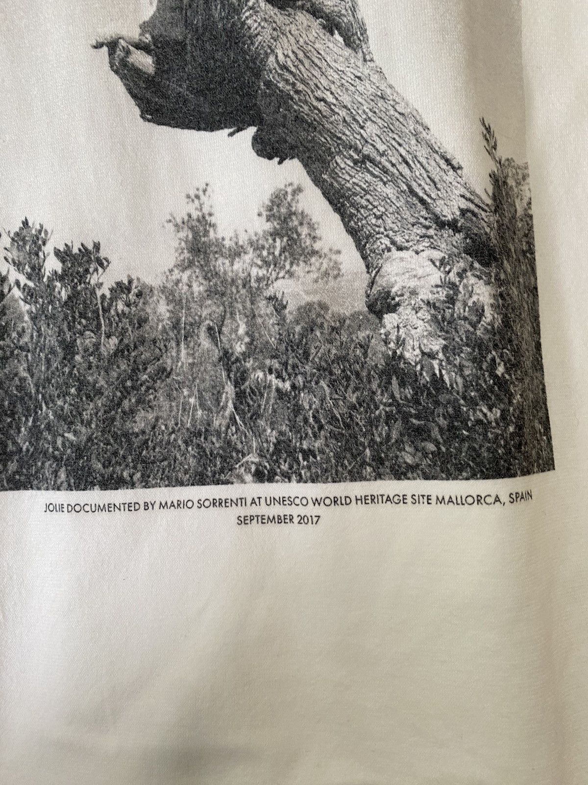 Jil Sander × Raf Simons SS17 Limited 144/200 Jil Sander Mario Sorennti tee Size US L / EU 52-54 / 3 - 5 Thumbnail