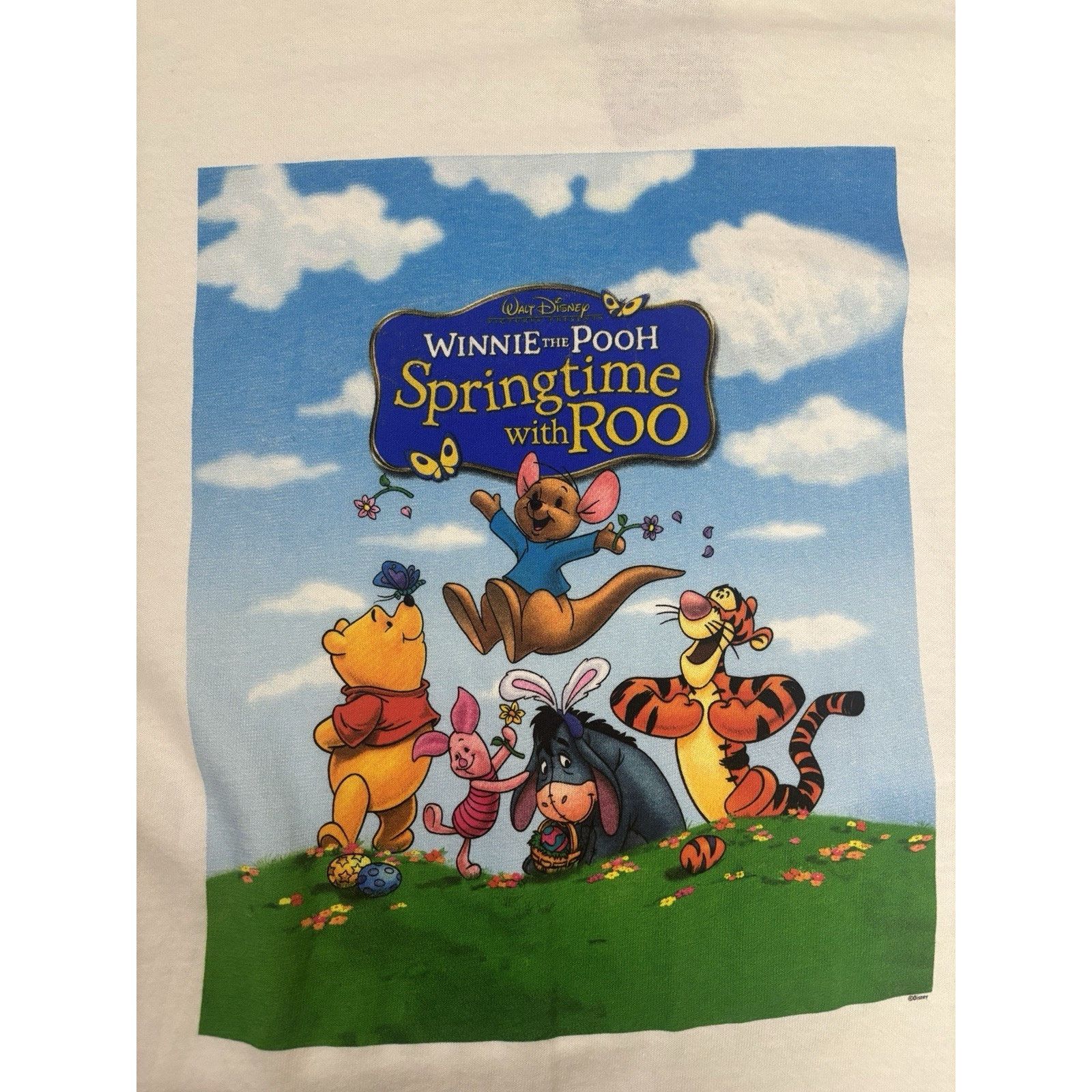 Fruit Of The Loom Vintage Disney Winnie the Pooh Springtime with Roo Tshirt L Size US L / EU 52-54 / 3 - 4 Thumbnail