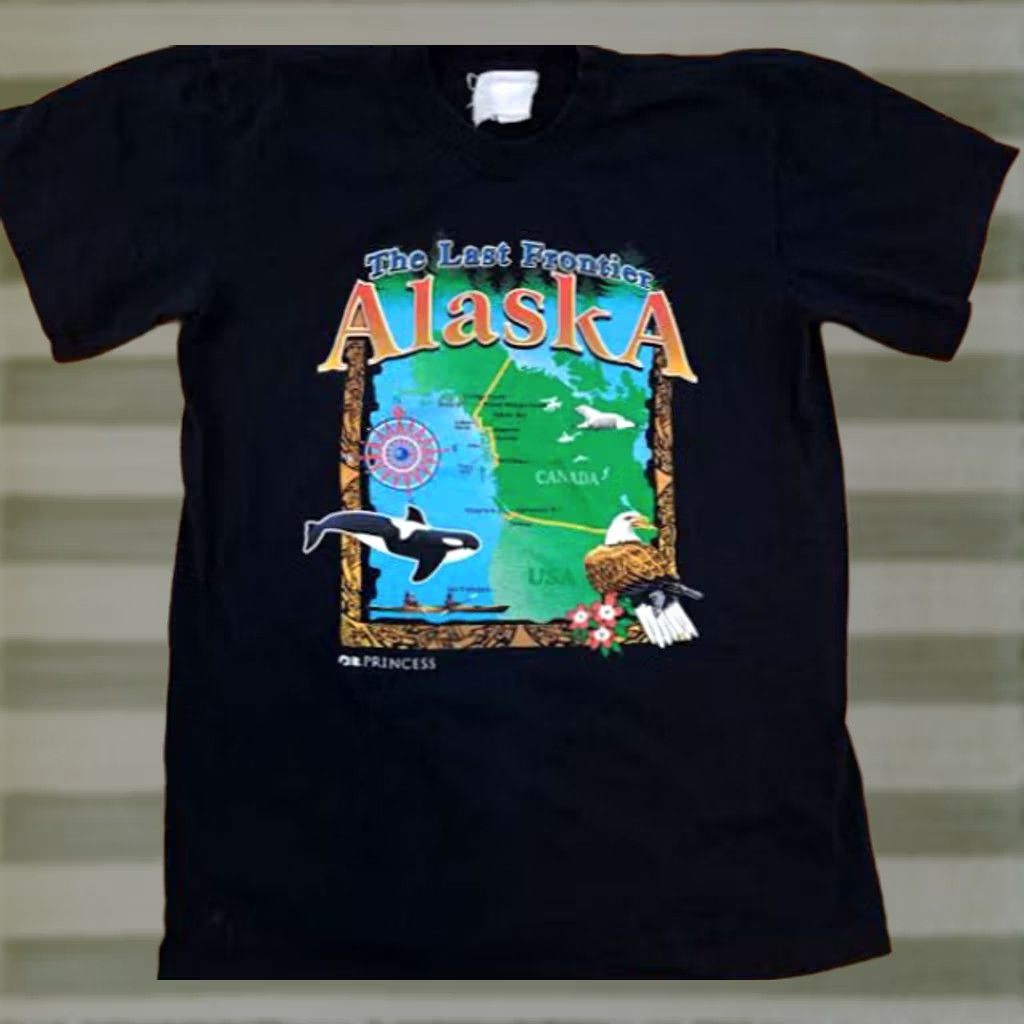 Vintage Pre-Owned Alaska The Last Frontier T-Shirt M Men Medium Black Short Sleeve Stitch Princess Cruise Pattern Solid 27in long 20in pit to pit Size US M / EU 48-50 / 2 - 1 Thumbnail