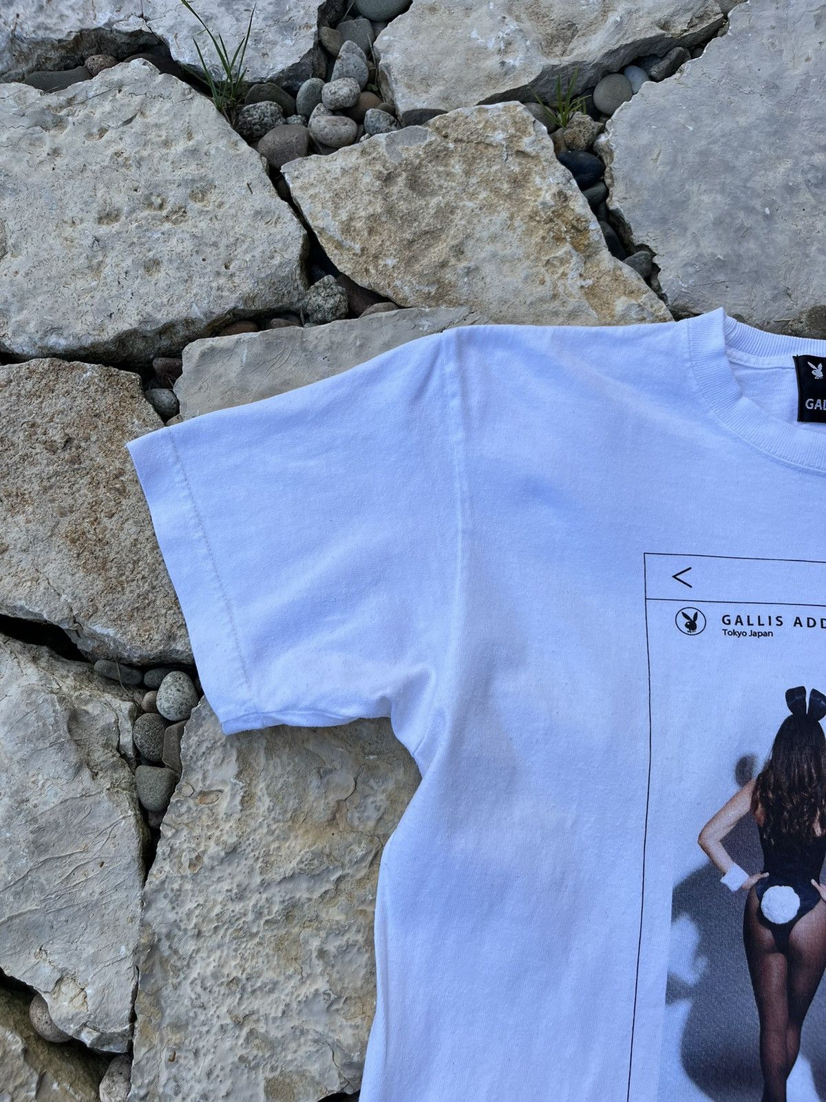 Playboy x Gallis Addiction sexy girls instagram post tee