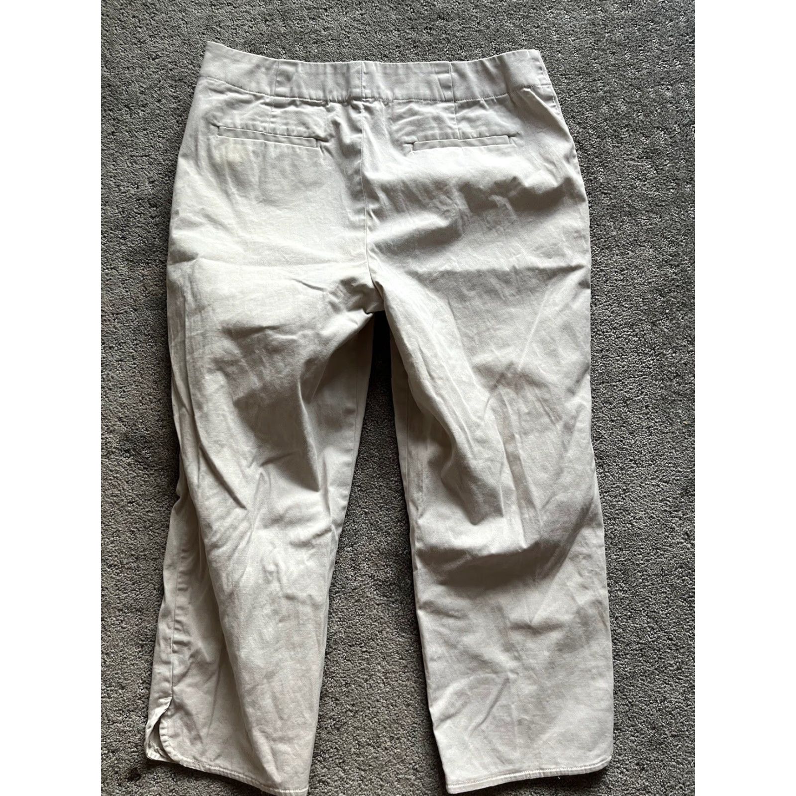 Talbots Talbots Woman Heritage Pants 10P Petite Flat Front Beige Ivory Pant Women's Petite 10P Flat Front Beige Talbots Pants Size 32" / US 10 / IT 46 - 4 Thumbnail