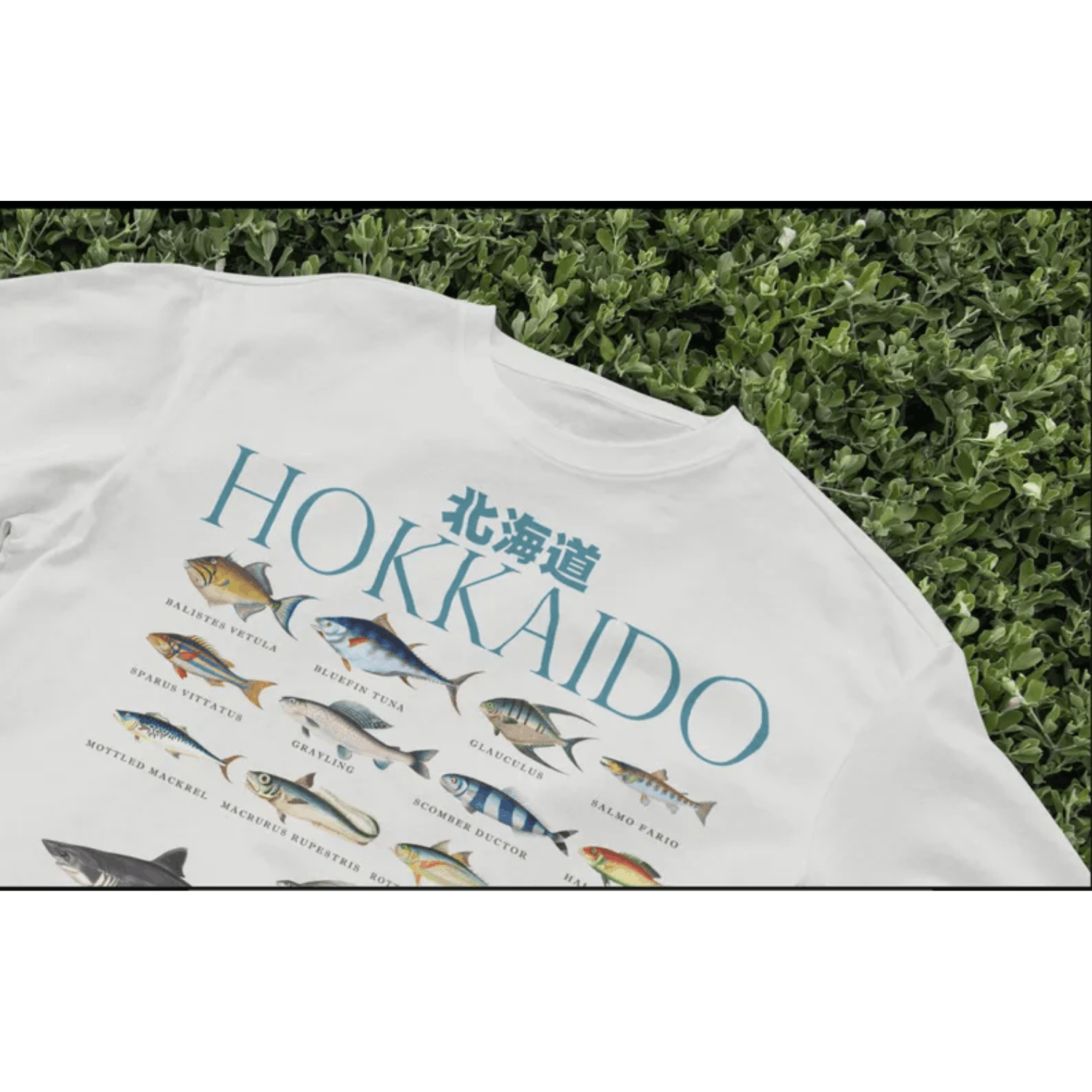 Japanese Brand × Vintage Hokkaido Fish T-Shirt, Japanese Ocean Tee, Retro Sea Shirt Size US L / EU 52-54 / 3 - 2 Thumbnail