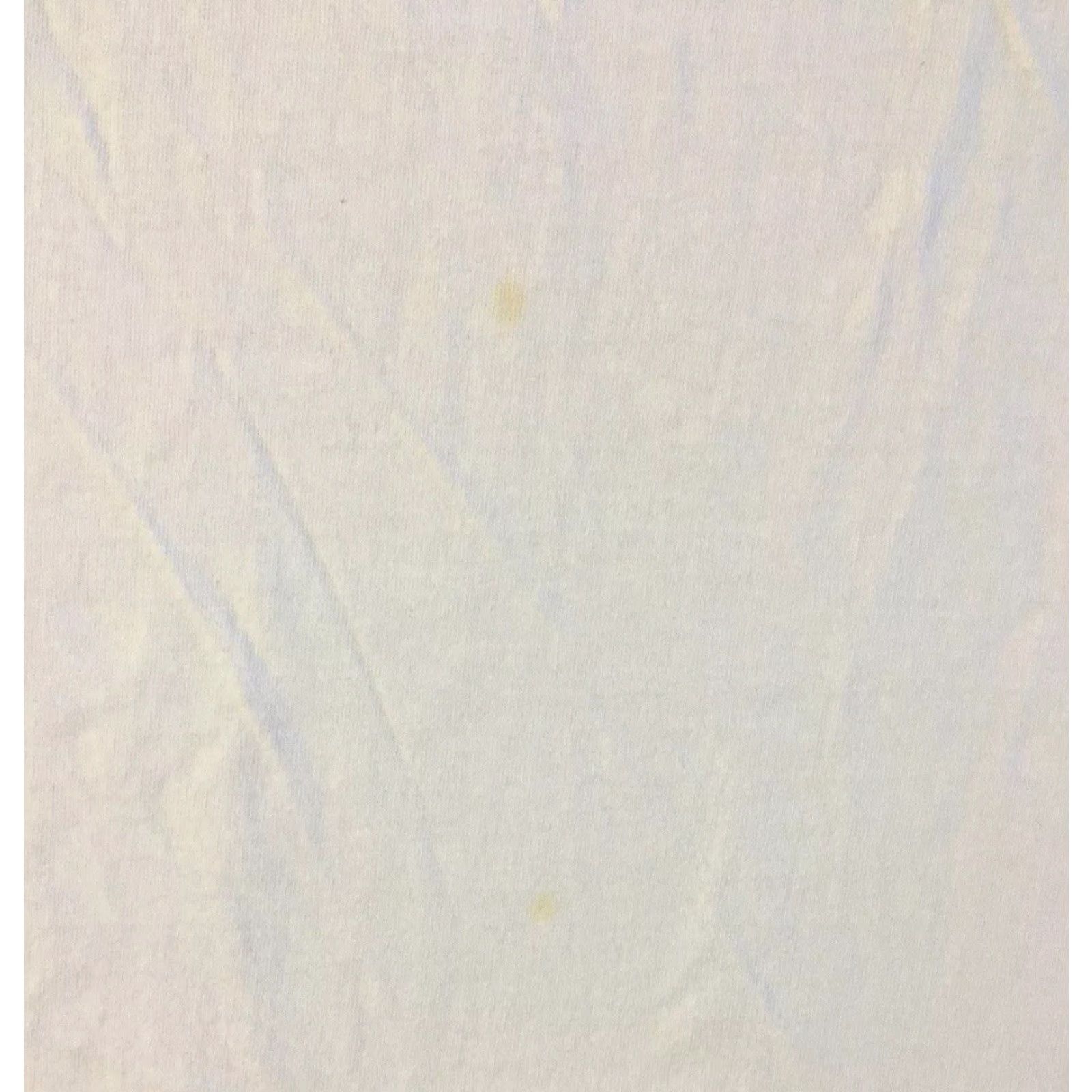 Vintage VINTAGE Southwest Airlines We Kicked Tail Shirt XL White Single Stitch T-Shirt Men 80s 90s Grunge Planes Humor Promo A5 Size US XL / EU 56 / 4 - 7 Thumbnail