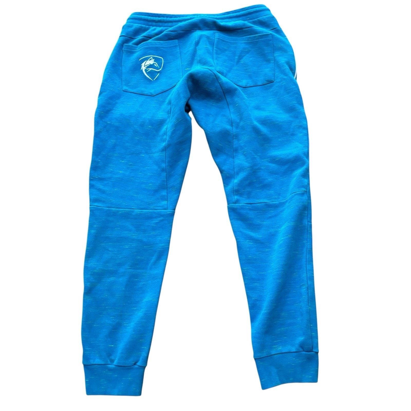 Alphalete Athletics Alphalete Bright Blue Cotton Blend Bright Blue Joggers Large Size US 32 / EU 48 - 2 Thumbnail