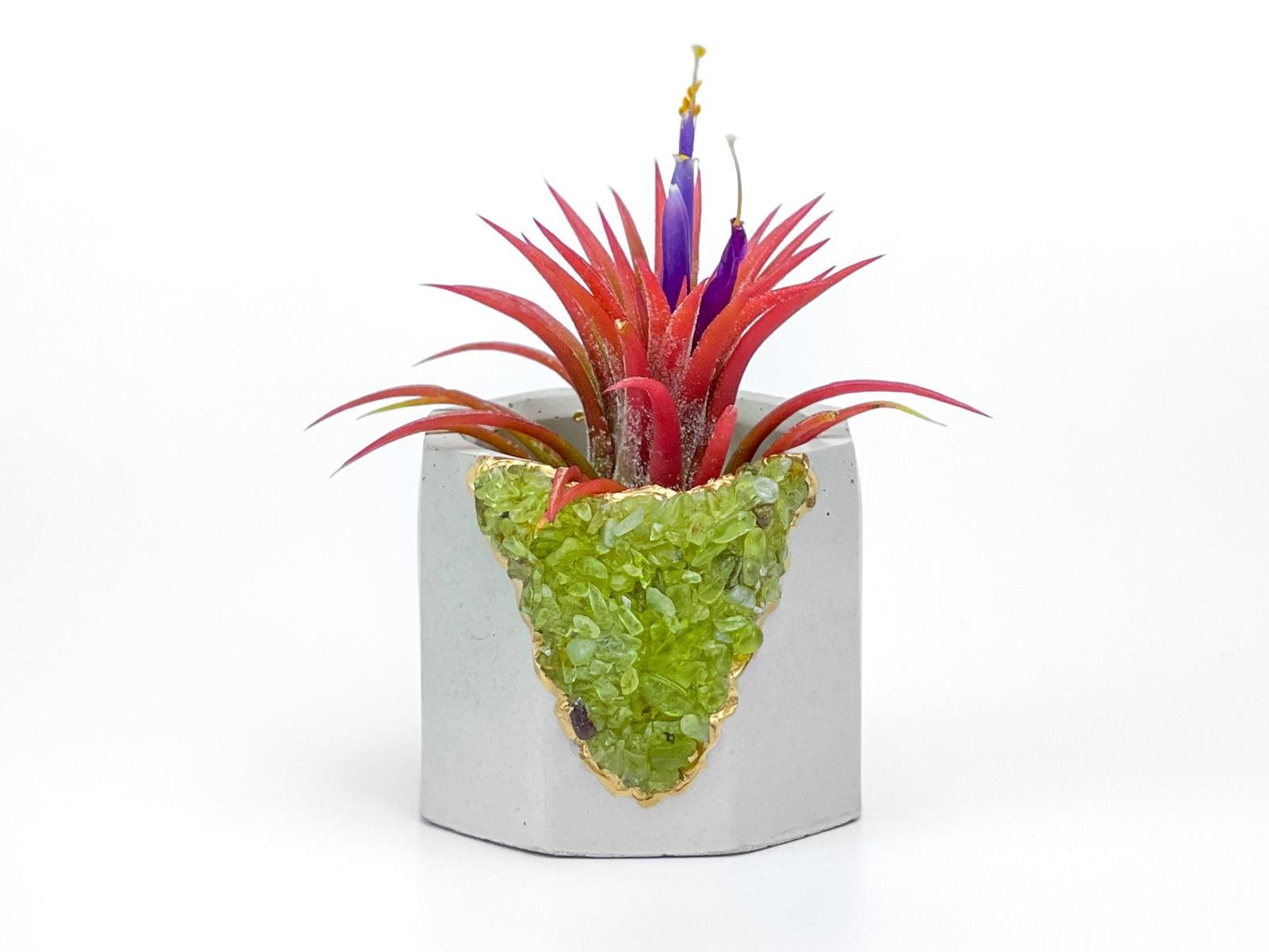 Other Crystal Airplant Holder Green Peridot Succulent Pot Planter Size ONE SIZE - 2 Thumbnail