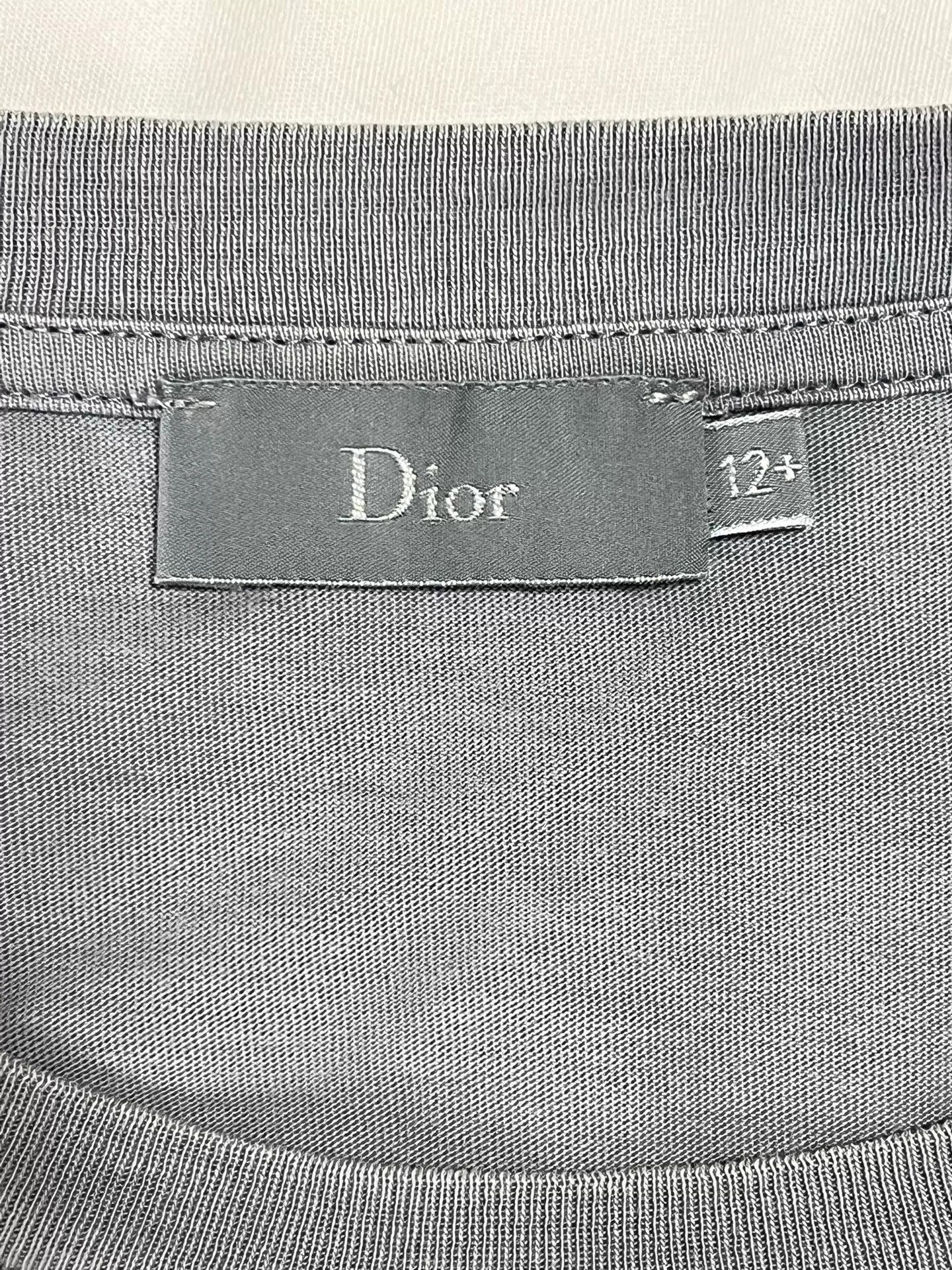 Dior Dior Haze Gray Oversized Unisex Tee S (DIOR Logo) Size S / US 4 / IT 40 - 6 Thumbnail