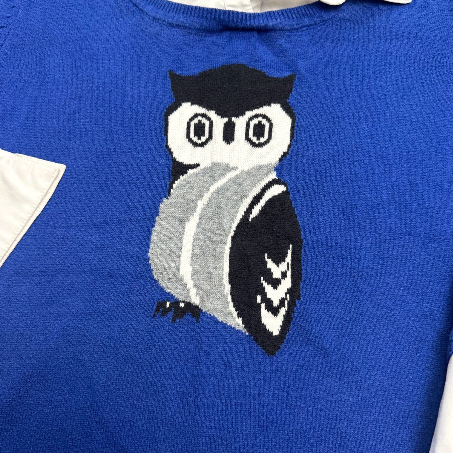 Vintage Notations Owl Pullover Shirt Womens Plus Size 1X Blue Knit Size XL / US 12-14 / IT 48-50 - 5 Thumbnail