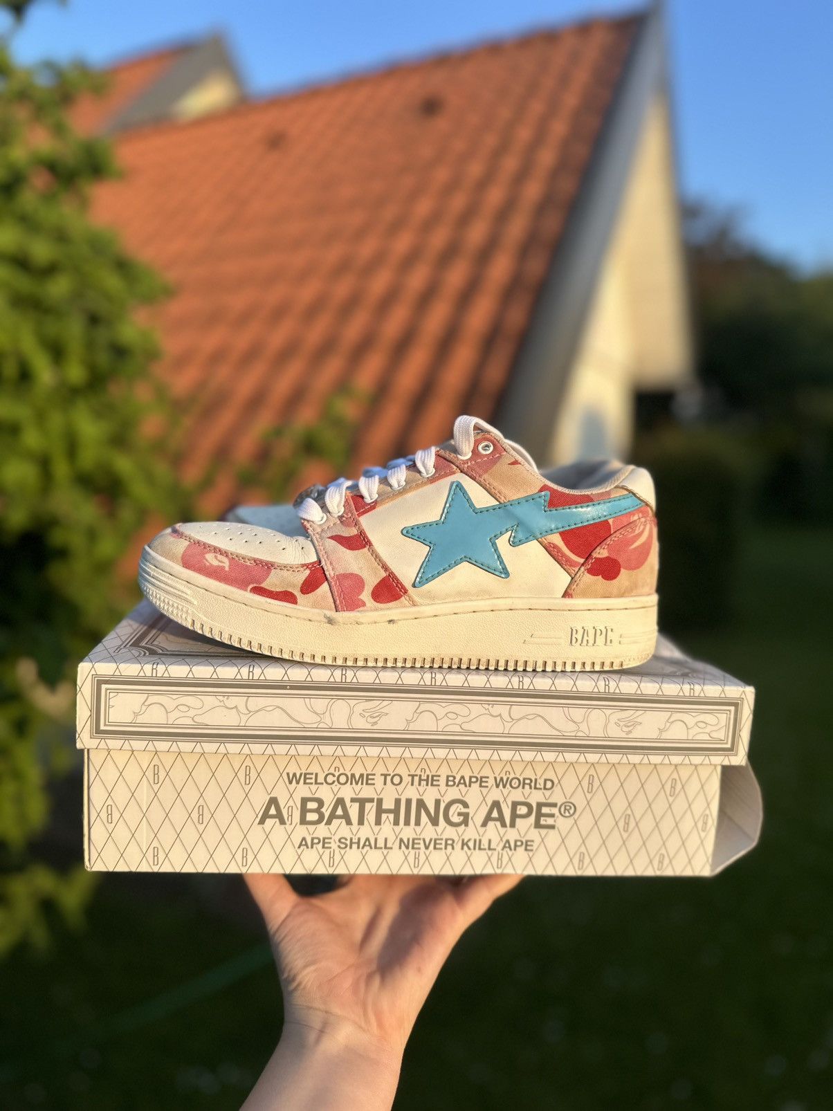 Rare bapesta camo