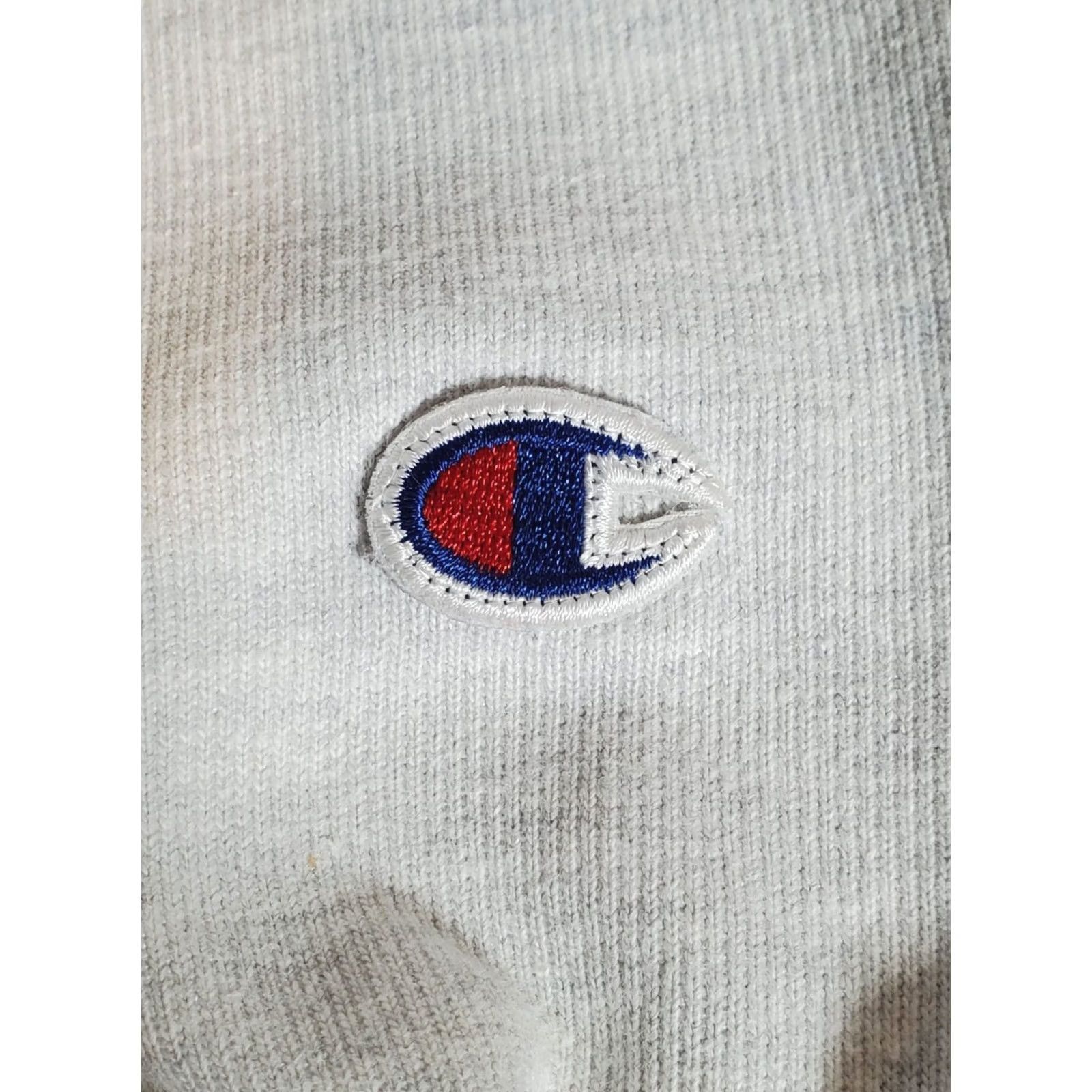 Champion VINTAGE Champion Reverse Weave Delaware Crewneck Sweatshirt Heather Gray Men's L Size US L / EU 52-54 / 3 - 5 Thumbnail