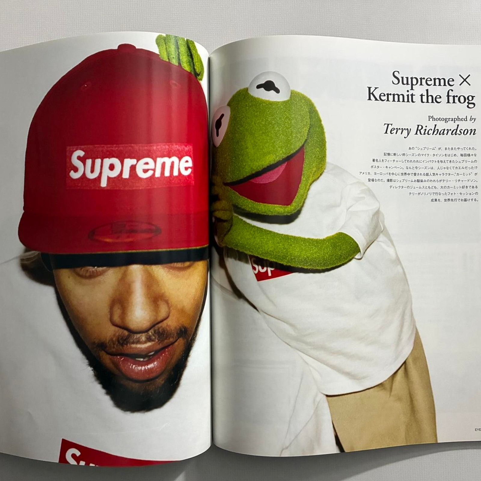 Hiroshi Fujiwara × Japanese Brand × Supreme Eyescream Magazine Made in Tokyo Supreme by Terry Richardson Size ONE SIZE - 2 Thumbnail