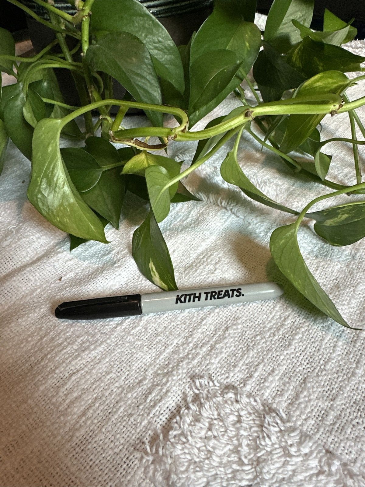 Kith Kith Treats Sharpie Size ONE SIZE - 1 Thumbnail