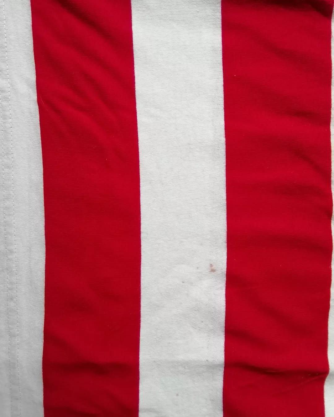 Japanese Brand × Vintage Vintage Pro Spirit Wear Red Striped Tees Size US L / EU 52-54 / 3 - 5 Thumbnail