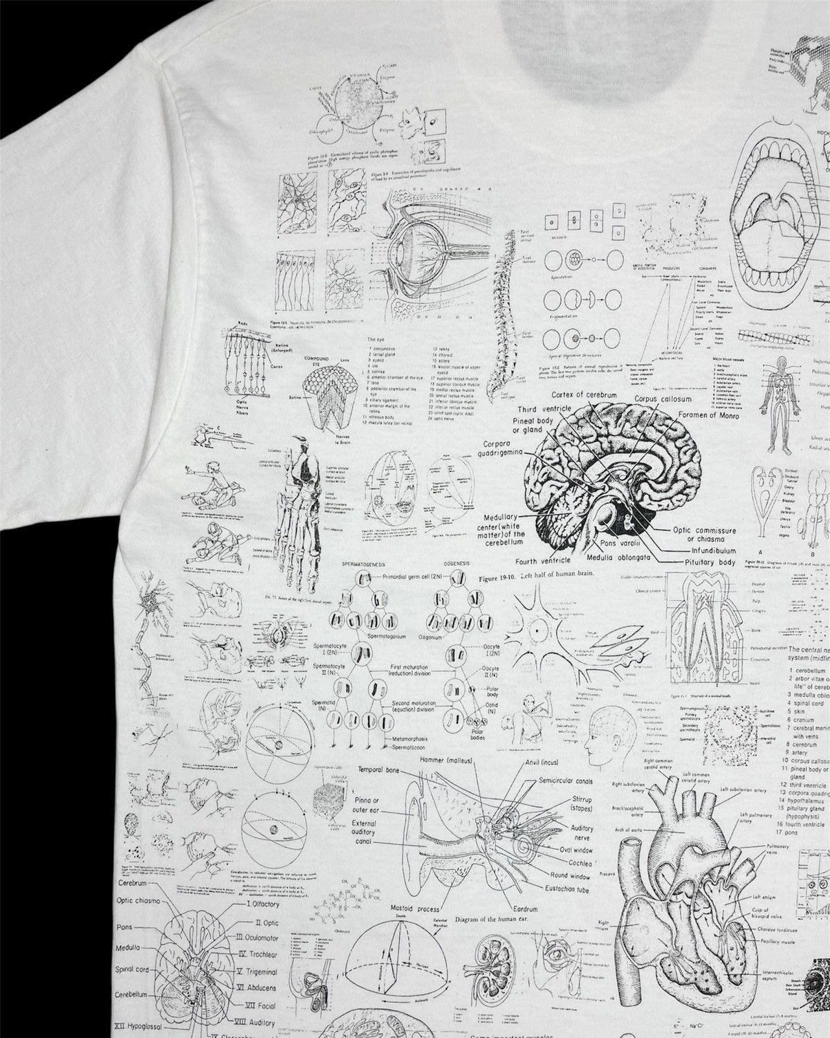 Vintage 1990s Blinded by Science Test Answer Anatomy Tee Size US M / EU 48-50 / 2 - 11 Thumbnail