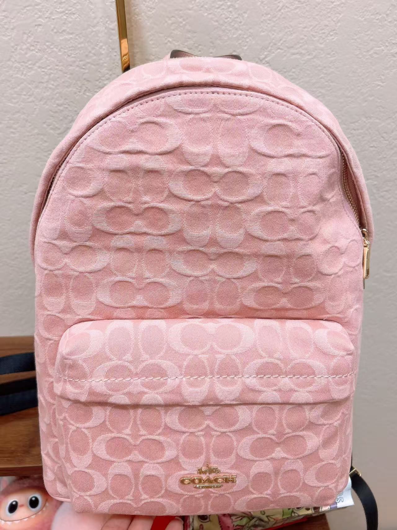 Taylor Small Backpack In Signature Denim CER70 display picture 1