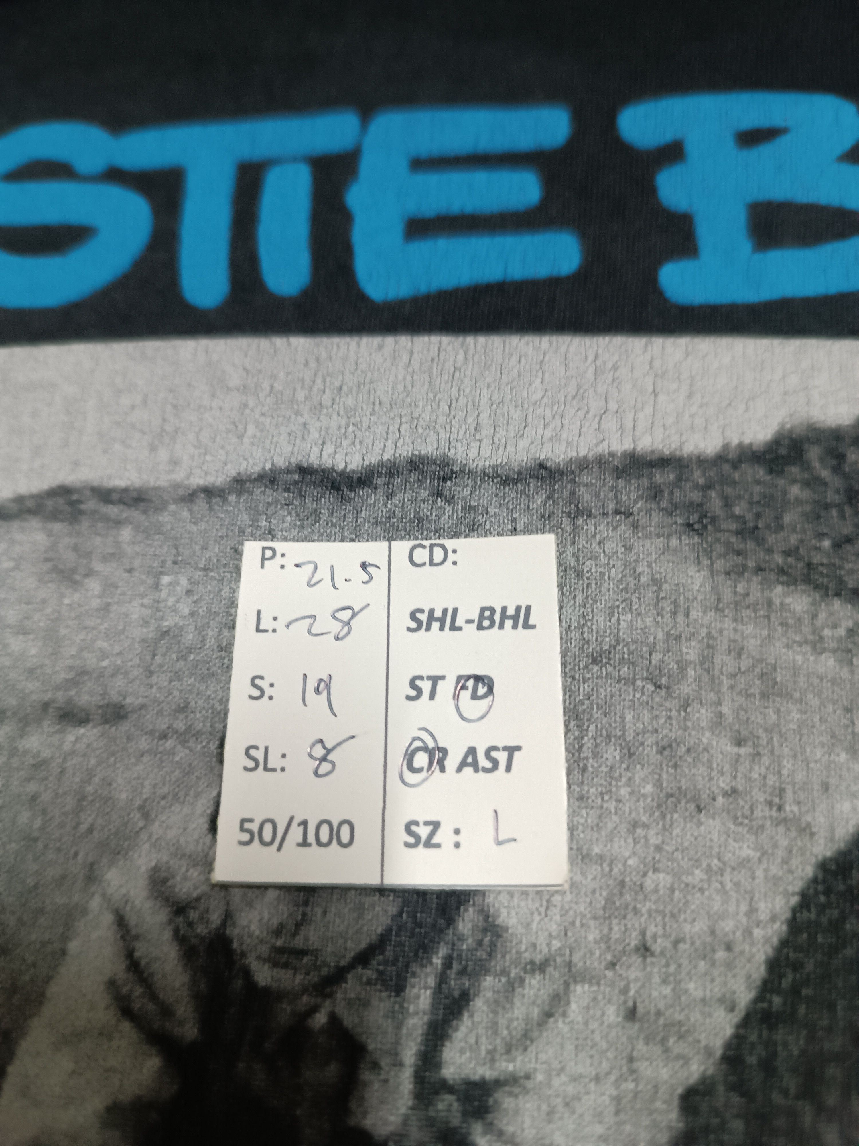 Band Tees VINTAGE BEASTIE BOYS CHECK YOUR HEAD FADED TEE Size US L / EU 52-54 / 3 - 16 Thumbnail