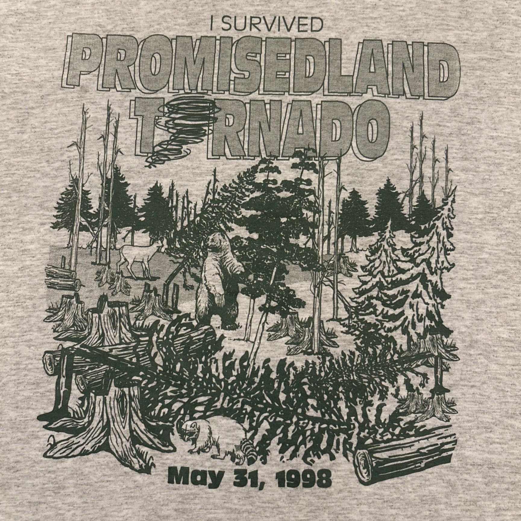 Vintage VINTAGE I Survived Promised Land Tornado 1998 Shirt Adult XL Gray Poconos Mens Size US XL / EU 56 / 4 - 2 Thumbnail
