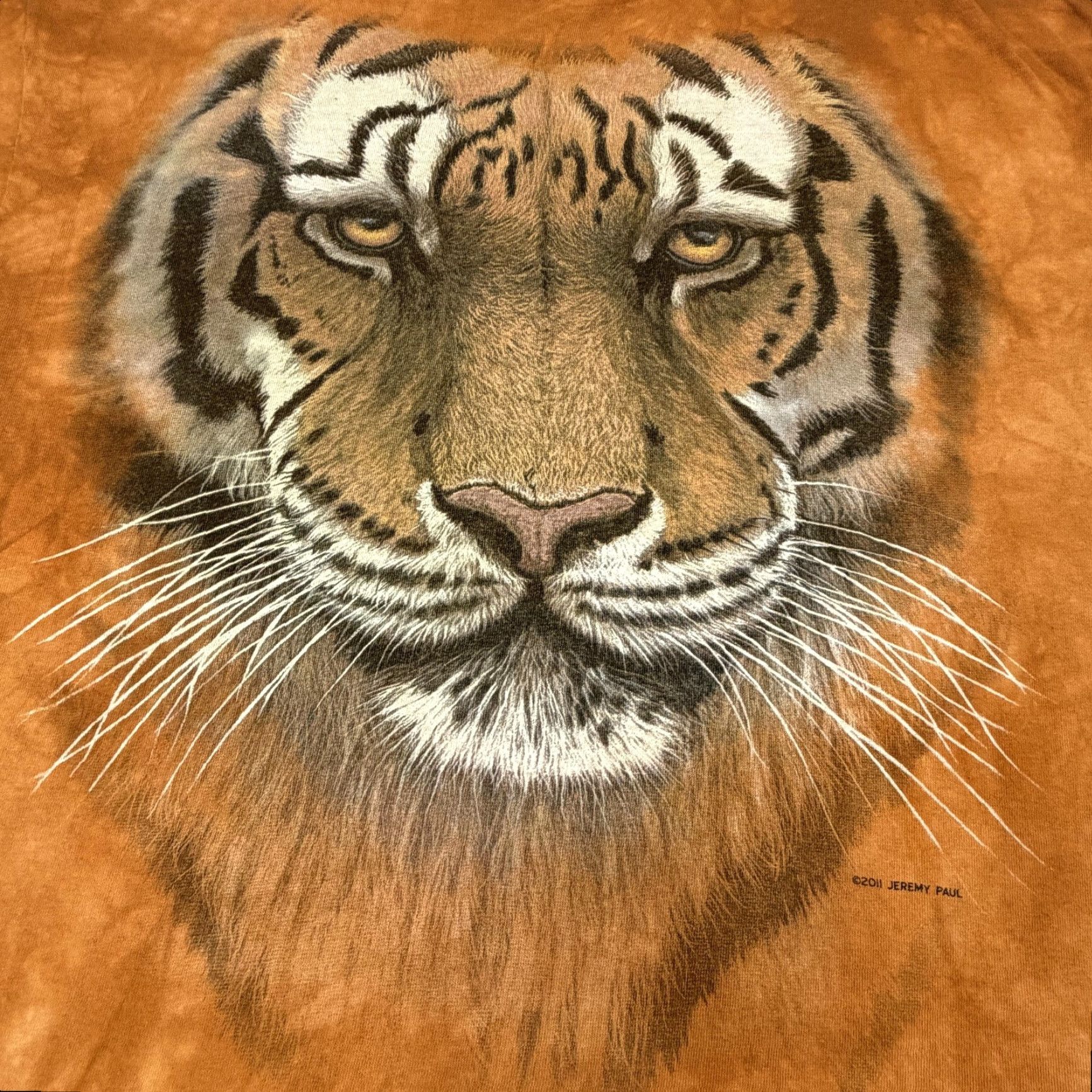 The Mountain VINTAGE 3D Tiger Tee Animal Graphic Men's 2XL The Mountain Animal Wildlife Big Cat Face Shirt Shirts Tigers Tiger 3D Graphic Print Men Size US XXL / EU 58 / 5 - 5 Thumbnail