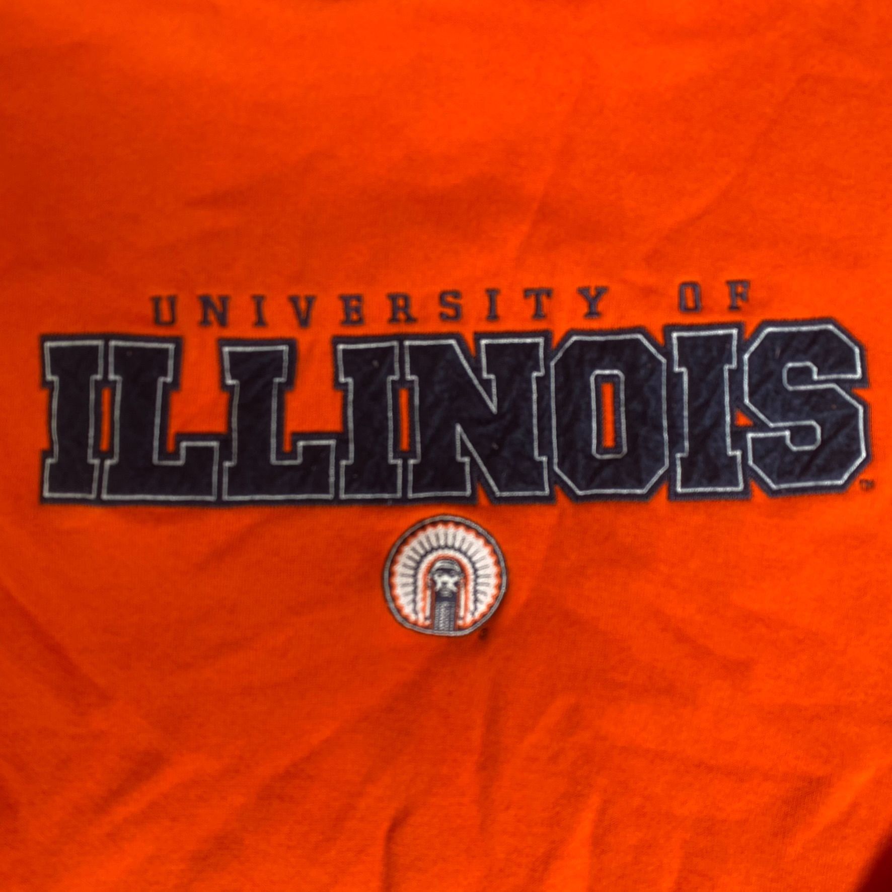 Russell Athletic Vintage Y2K University Illinois Hoodie Russell Sweatshirt Size US M / EU 48-50 / 2 - 3 Thumbnail