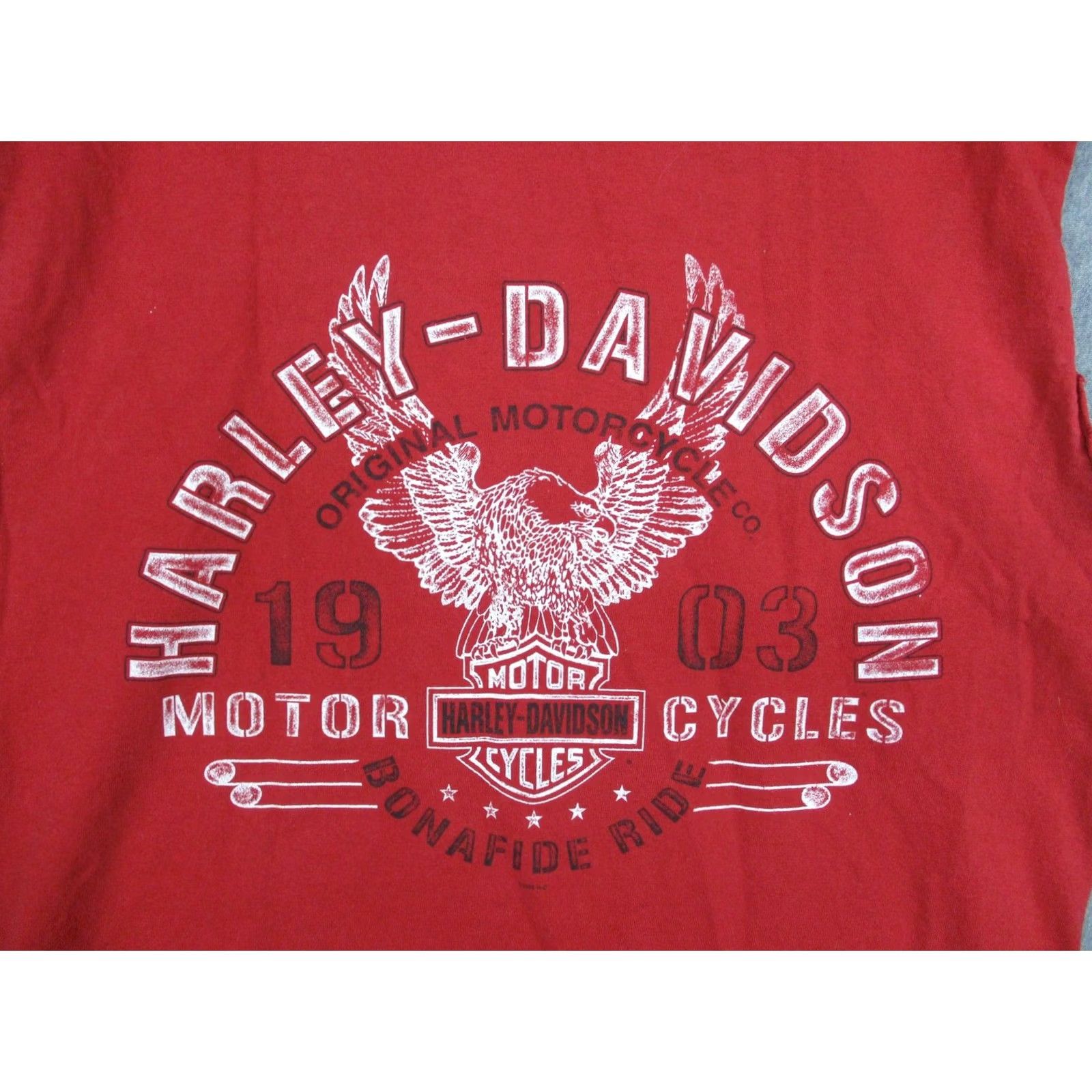 Harley Davidson VINTAGE Harley-Davidson Shirt Mens L Red Sleeveless Smoky Mountain Eagle Graphic Print Crew Neck T-Shirt Baggy? Size US L / EU 52-54 / 3 - 2 Thumbnail