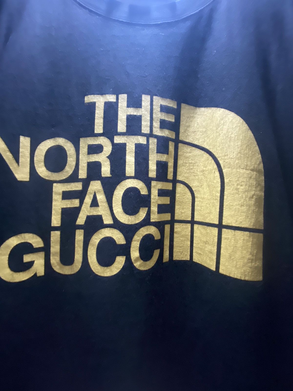 Gucci x The north-face Tee