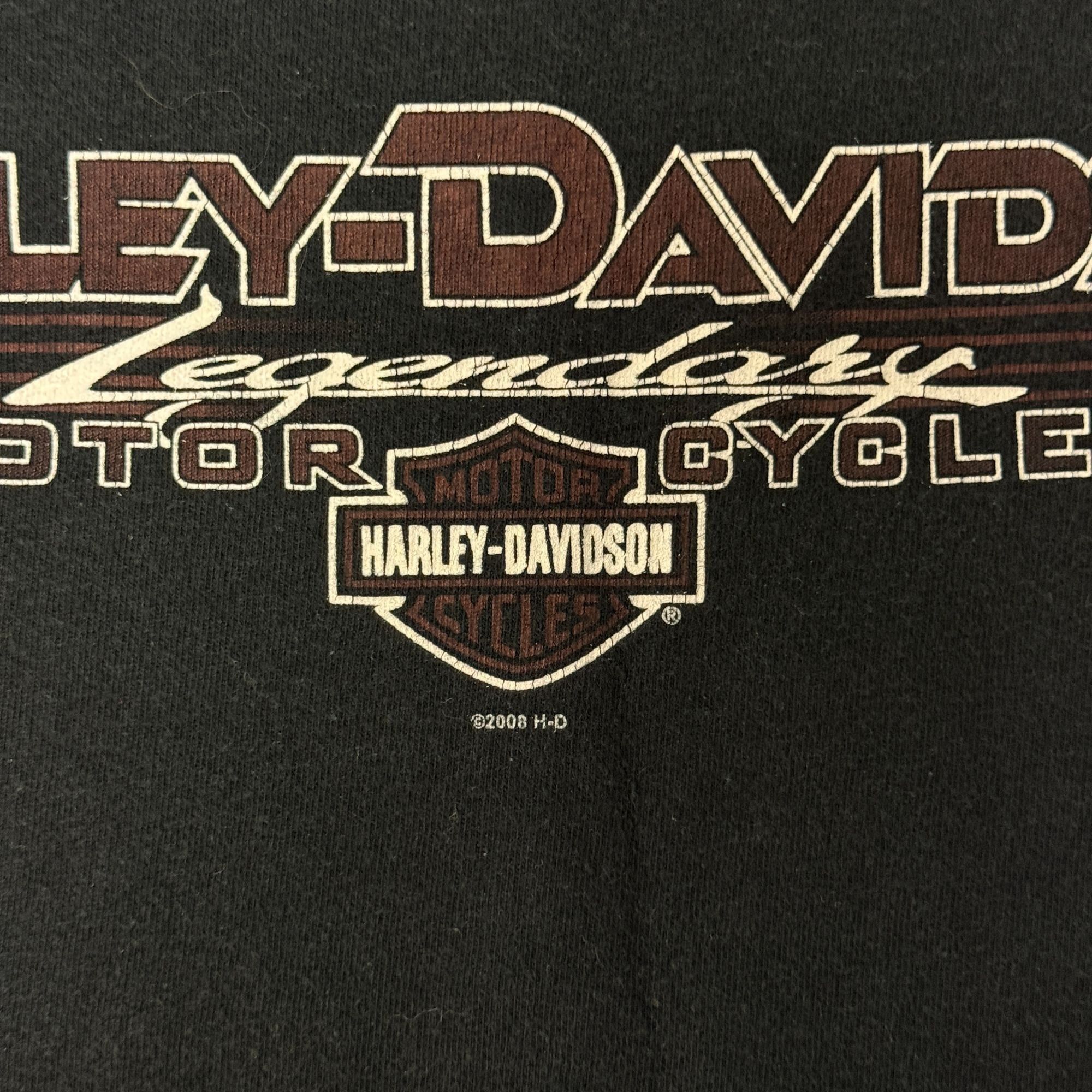 Harley Davidson 2008 Motorcycles Southtowns BUFFALO New York Biker T Shirt Size US M / EU 48-50 / 2 - 9 Thumbnail