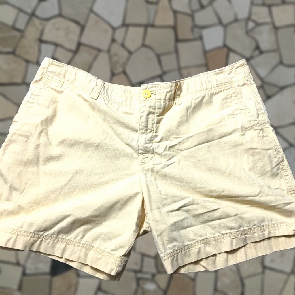 Eddie Bauer Eddie Bauer Shorts Womens 18 Yellow WOMEN SIZE gold geometric Size 40" / US 18 - 1 Thumbnail