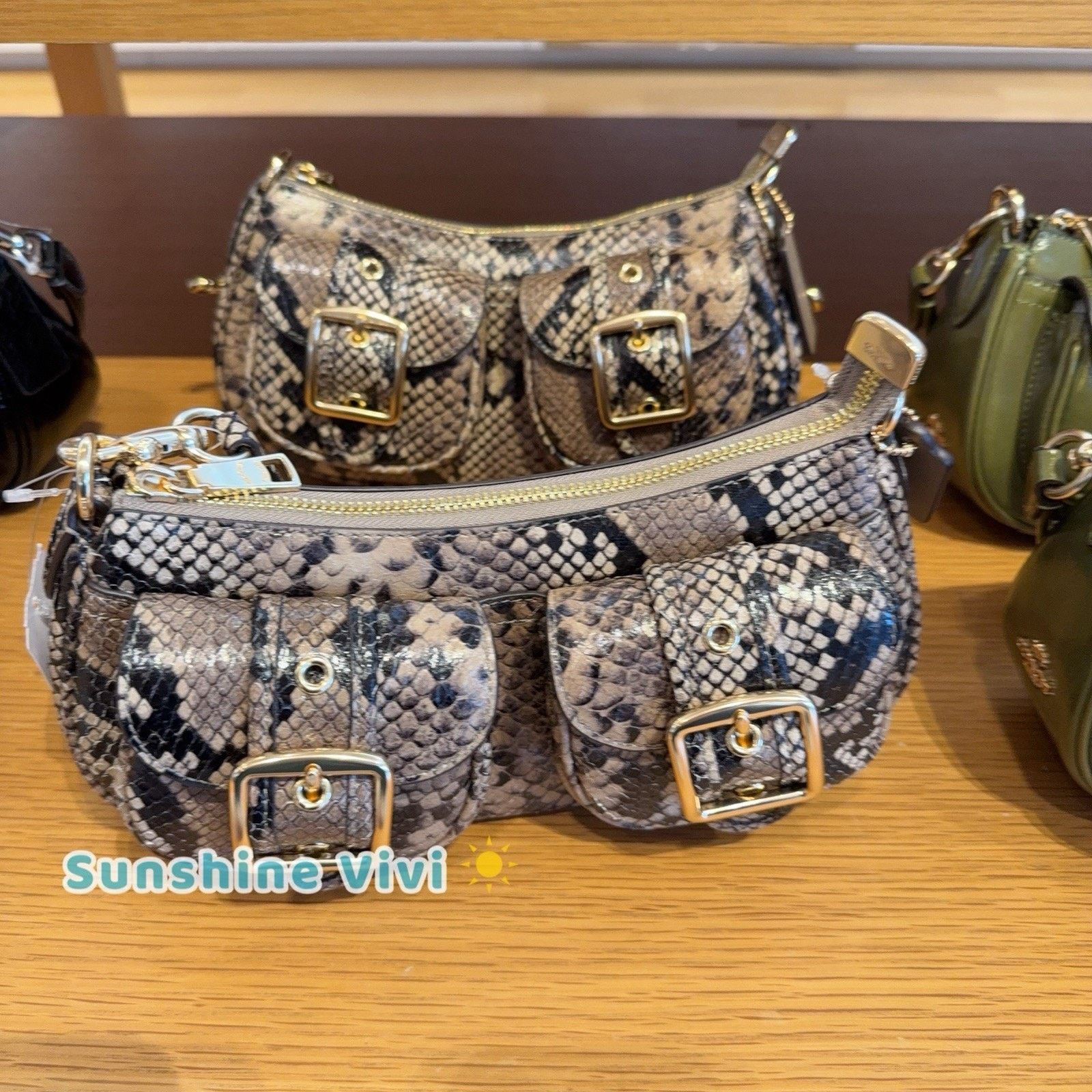 Coach NWT Coach Ashton Bag Snake Leather CCE38 Mushroom Multi Size ONE SIZE - 2 Thumbnail