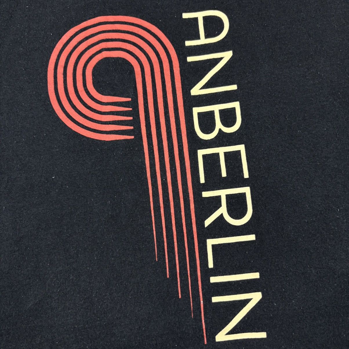 Band Tees Anberlin - Logo 00’s Size US L / EU 52-54 / 3 - 3 Thumbnail