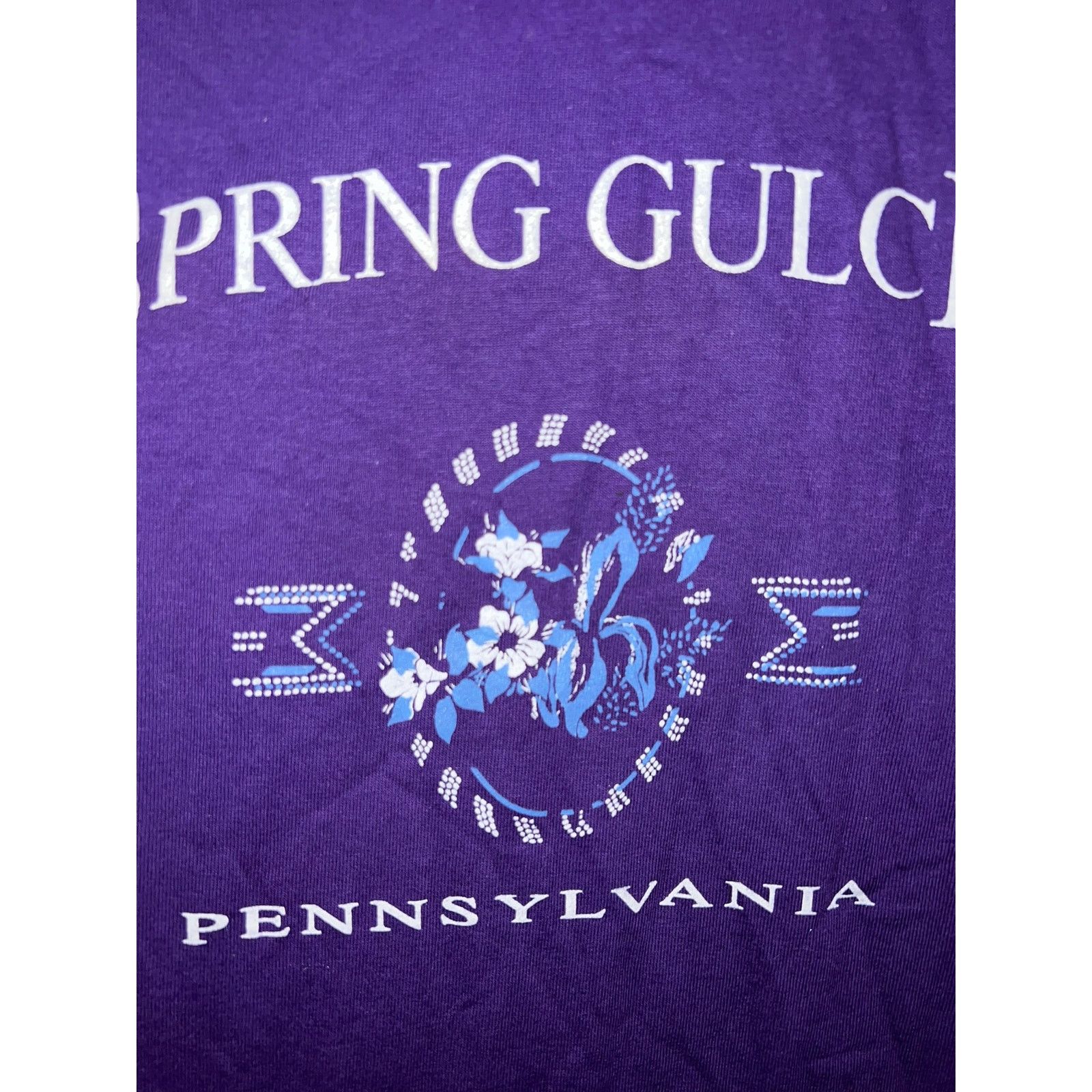Jerzees Vintage Spring Gulch Pennsylvania Shirt Tee Purple VTG 90s L Size US L / EU 52-54 / 3 - 3 Thumbnail