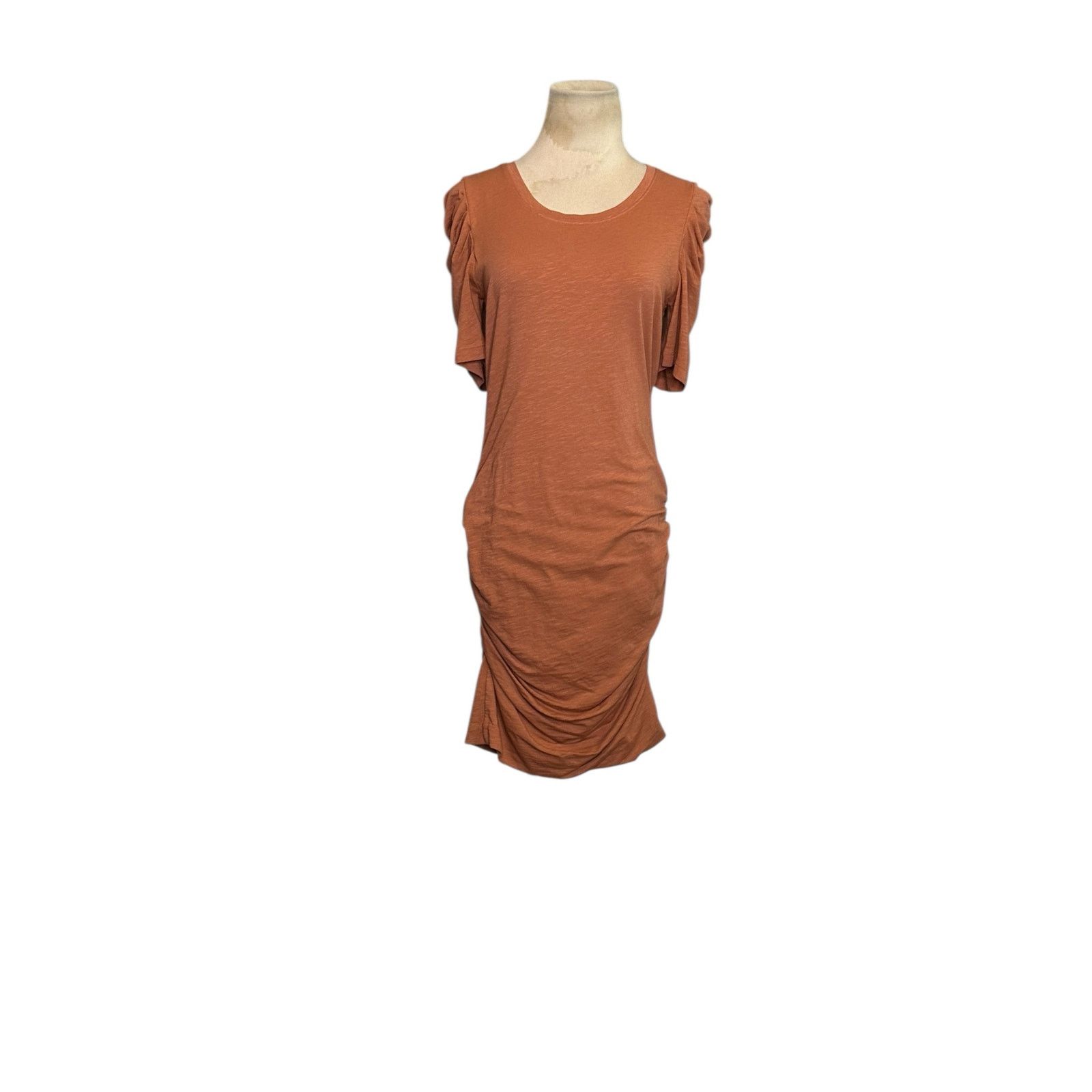 Sundry Sundry Brown Puff Short Sleeves Ruched Mini Dress Size 2 Size XS / US 0-2 / IT 36-38 - 18 Thumbnail