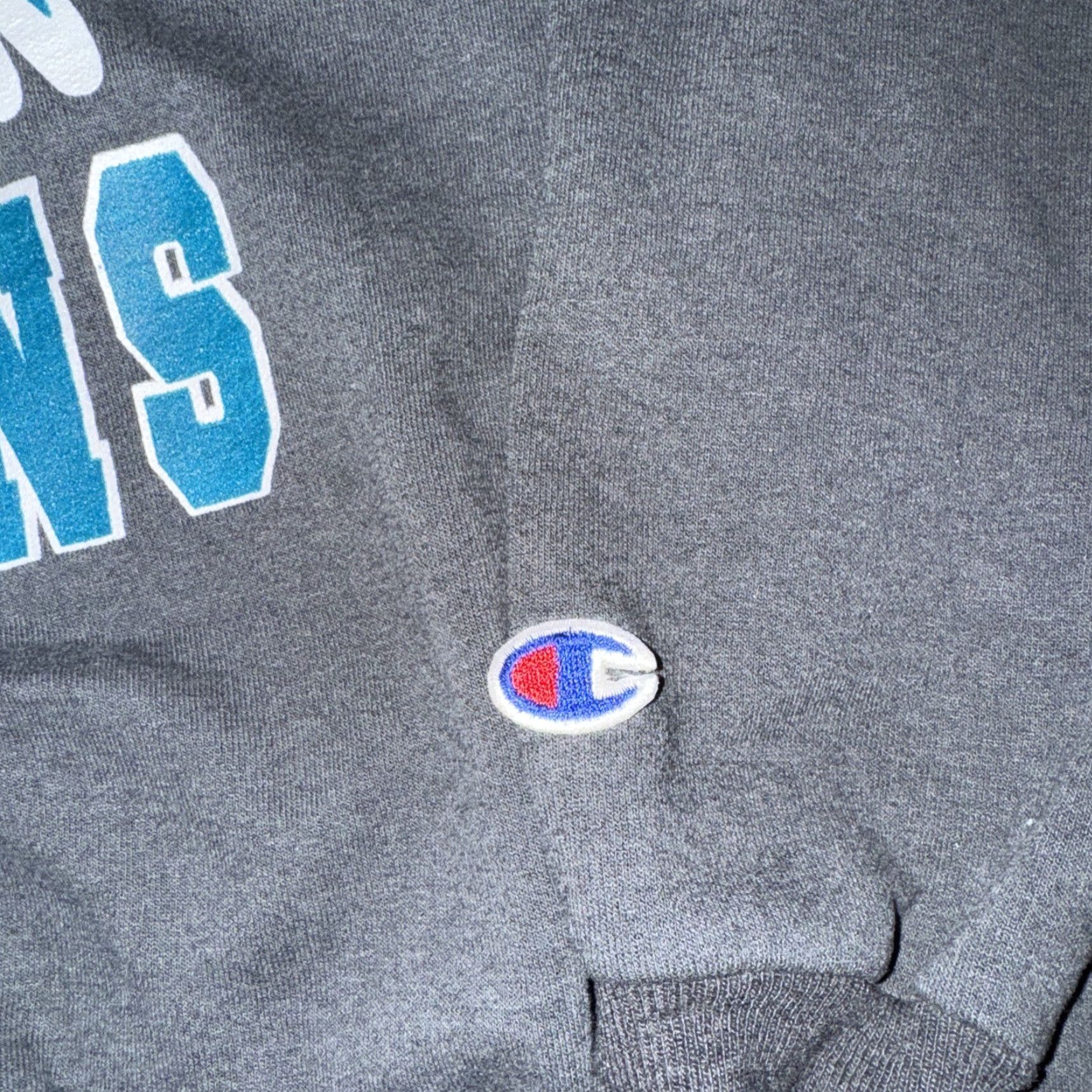 Champion VINTAGE Champion Sweatshirt Men L Gray Rosa Parks Dolphins Crewneck Size US L / EU 52-54 / 3 - 3 Thumbnail