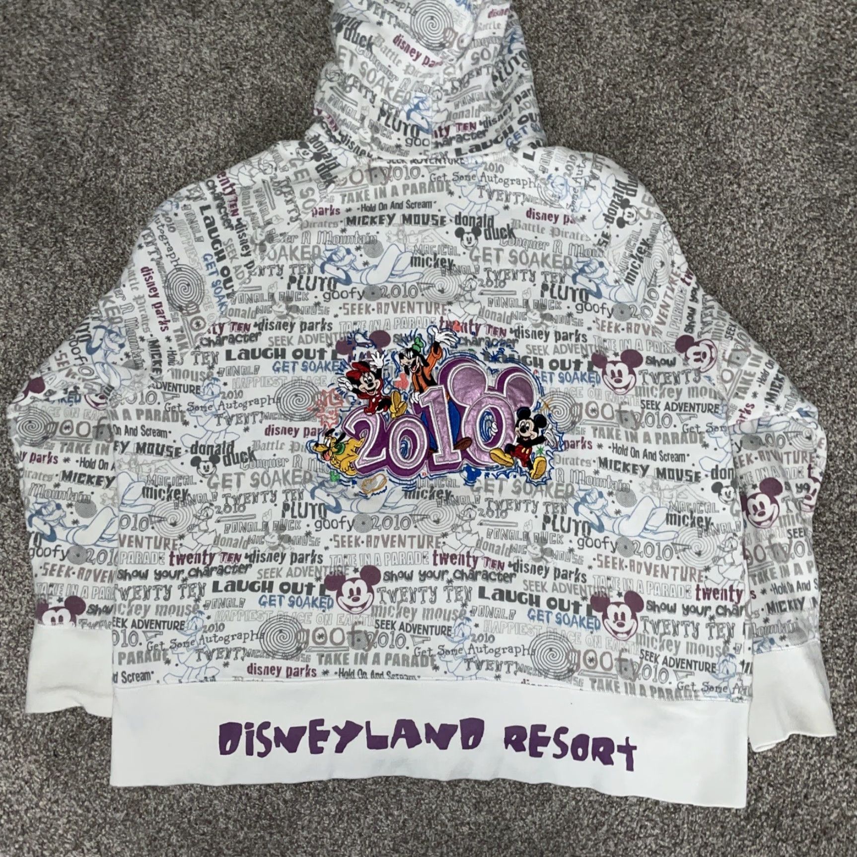 Disney Disney Walt Disney World Disney Land 2010 Embroidered Hoodie Size 1X White Pullover Mens Decorated Embroidered Accessories Size US XL / EU 56 / 4 - 4 Thumbnail