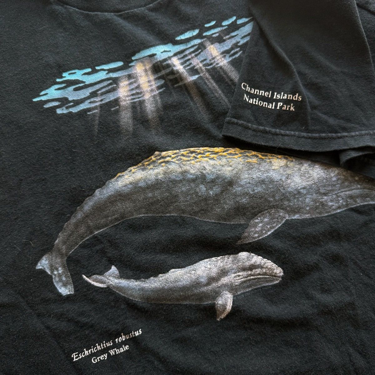Vintage 2001 Vintage Y2K Grey Whale Nature Tee Size US XL / EU 56 / 4 - 3 Thumbnail