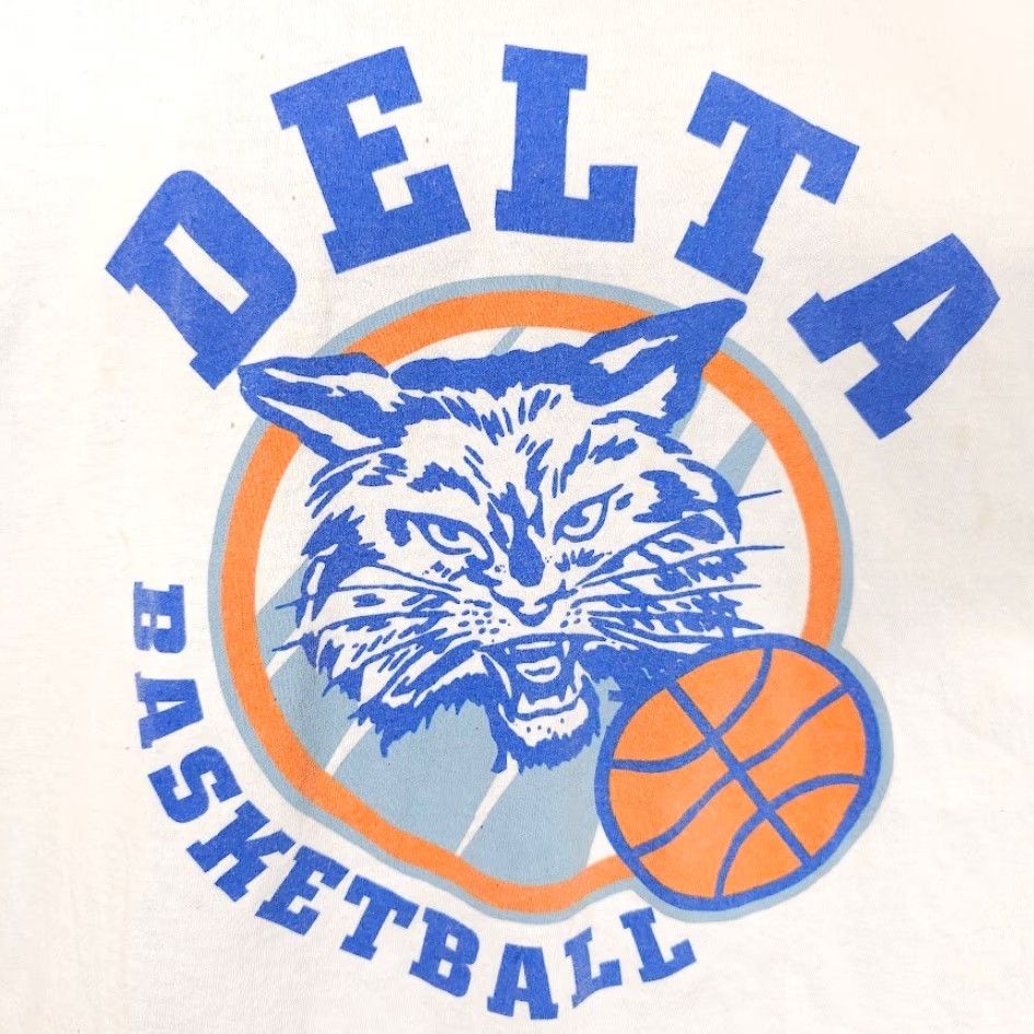 Hanes VINTAGE Hanes Delta Academy Basketball T Shirt Mens XL White 90s Y2K Las Vegas Size US XL / EU 56 / 4 - 3 Thumbnail
