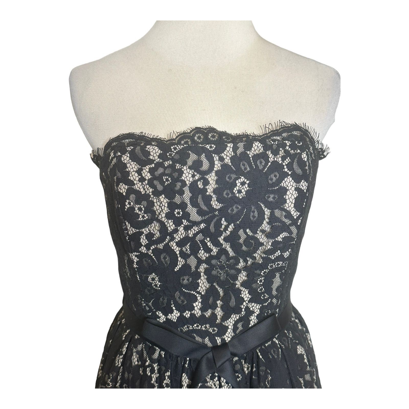Robert Rodriguez Robert Rodriguez Lace Strapless Party Cocktail Dress Size 6 Size M / US 6-8 / IT 42-44 - 11 Thumbnail