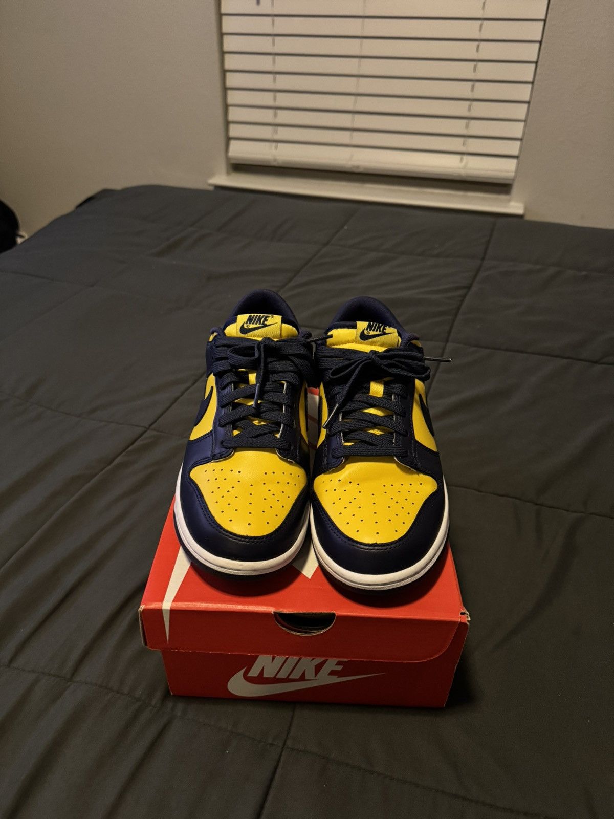 Nike Nike Dunk Low “Michigan” Size US 8 / EU 41 - 2 Thumbnail