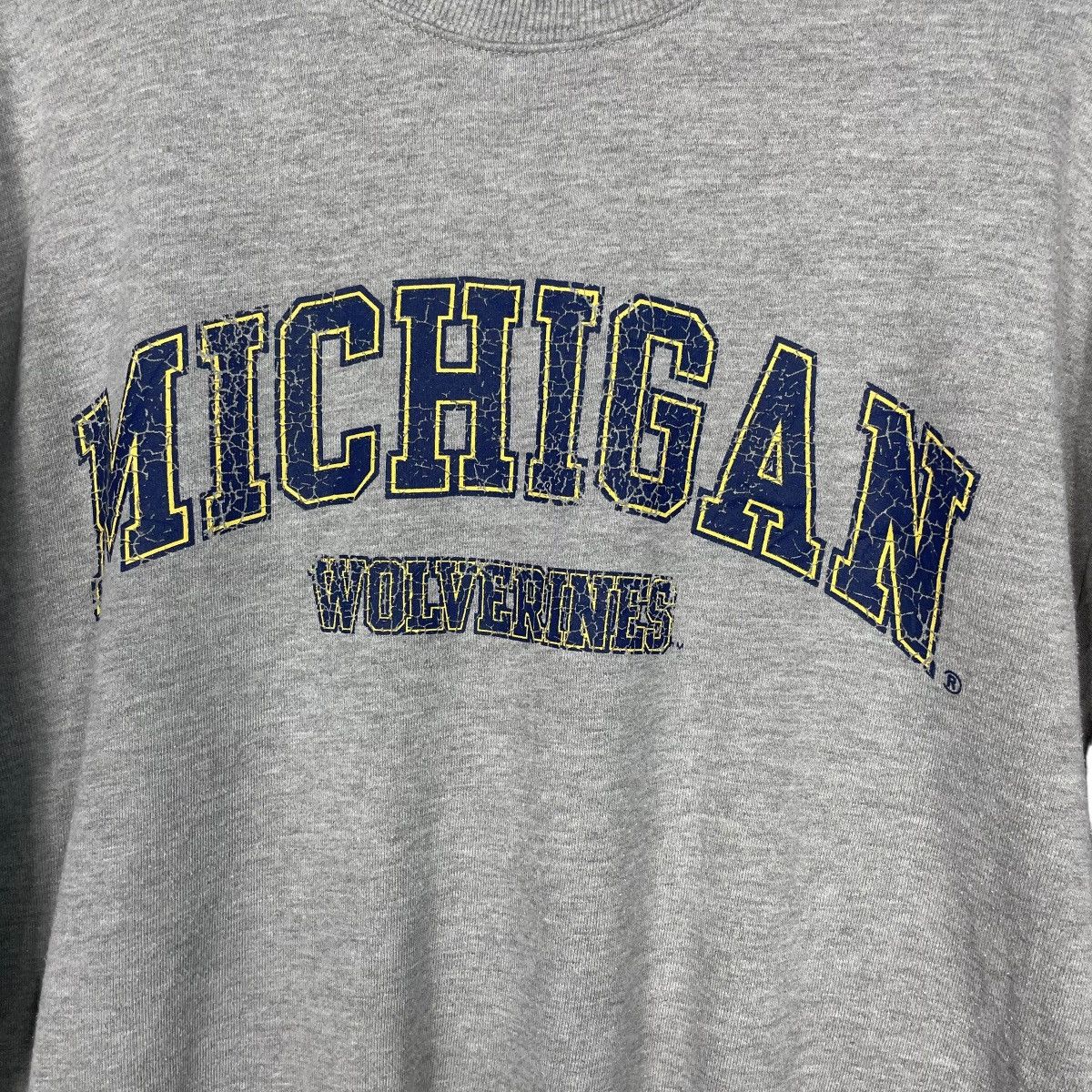 Other Michigan Wolverines Crewneck Sweatshirt Size US L / EU 52-54 / 3 - 10 Thumbnail